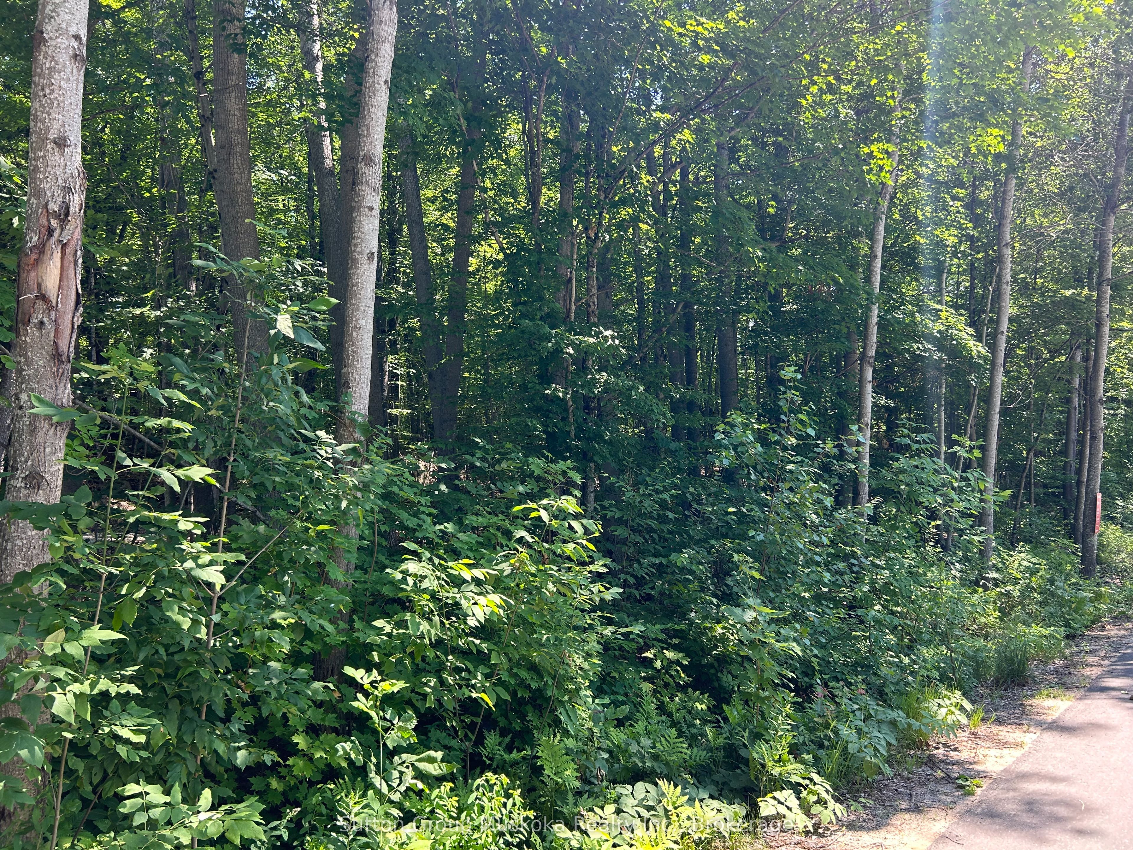 0 Tally Ho Winter Park Road, Lake of Bays, ON P1H 2J3