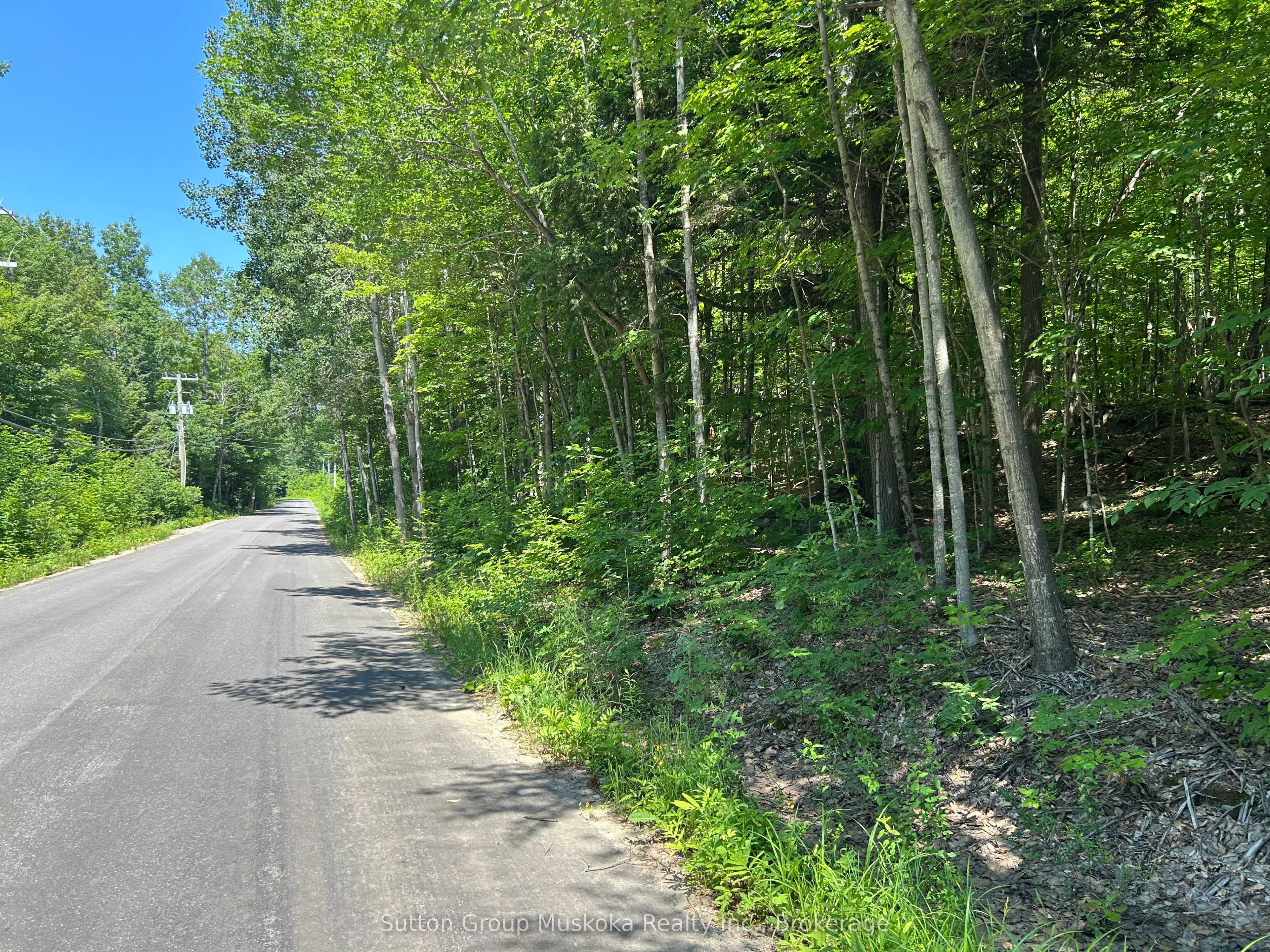 0 Tally Ho Winter Park Road, Lake of Bays, ON P1H 2J3 photo 2