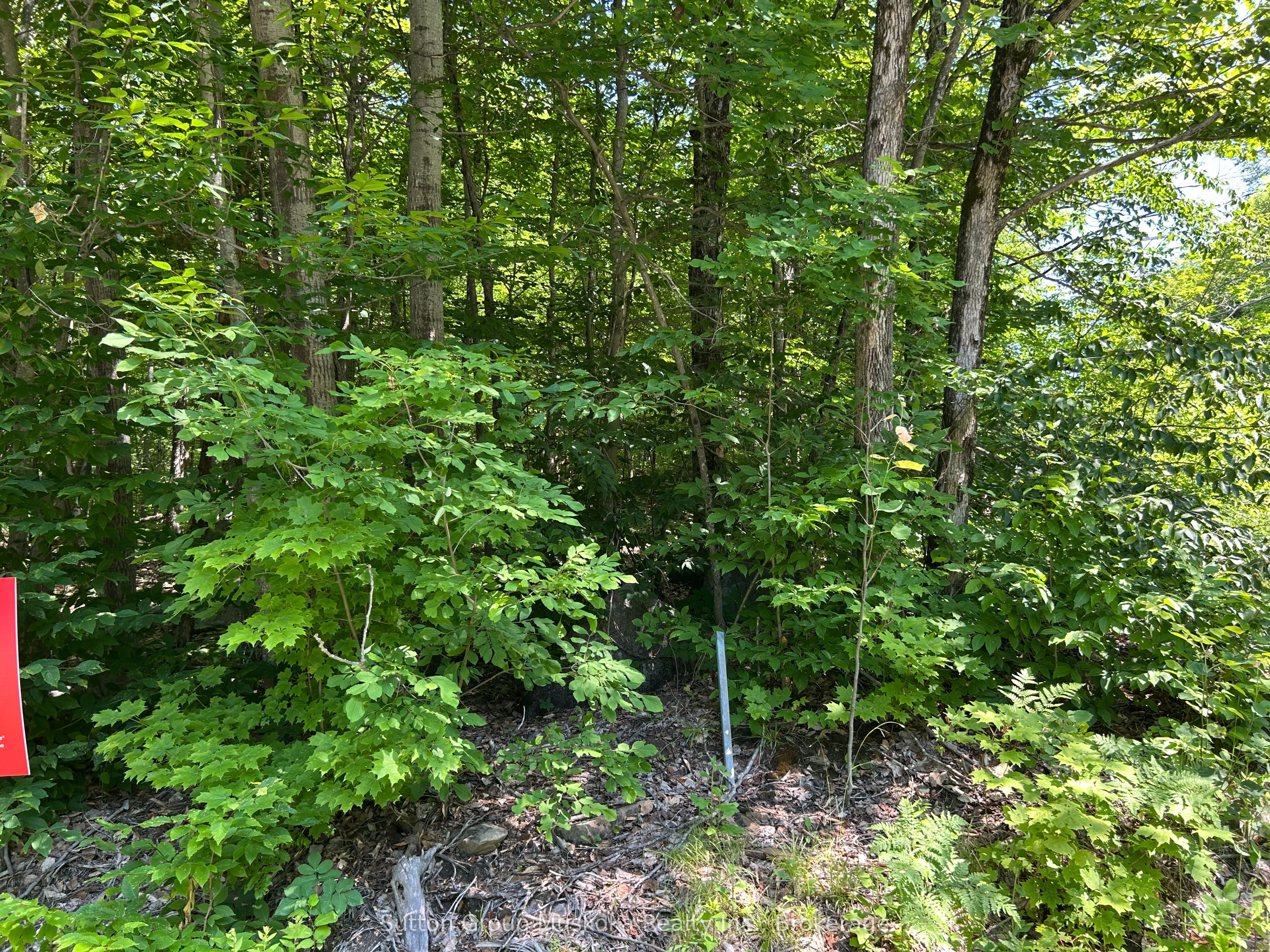 0 Tally Ho Winter Park Road, Lake of Bays, ON P1H 2J3 photo 3