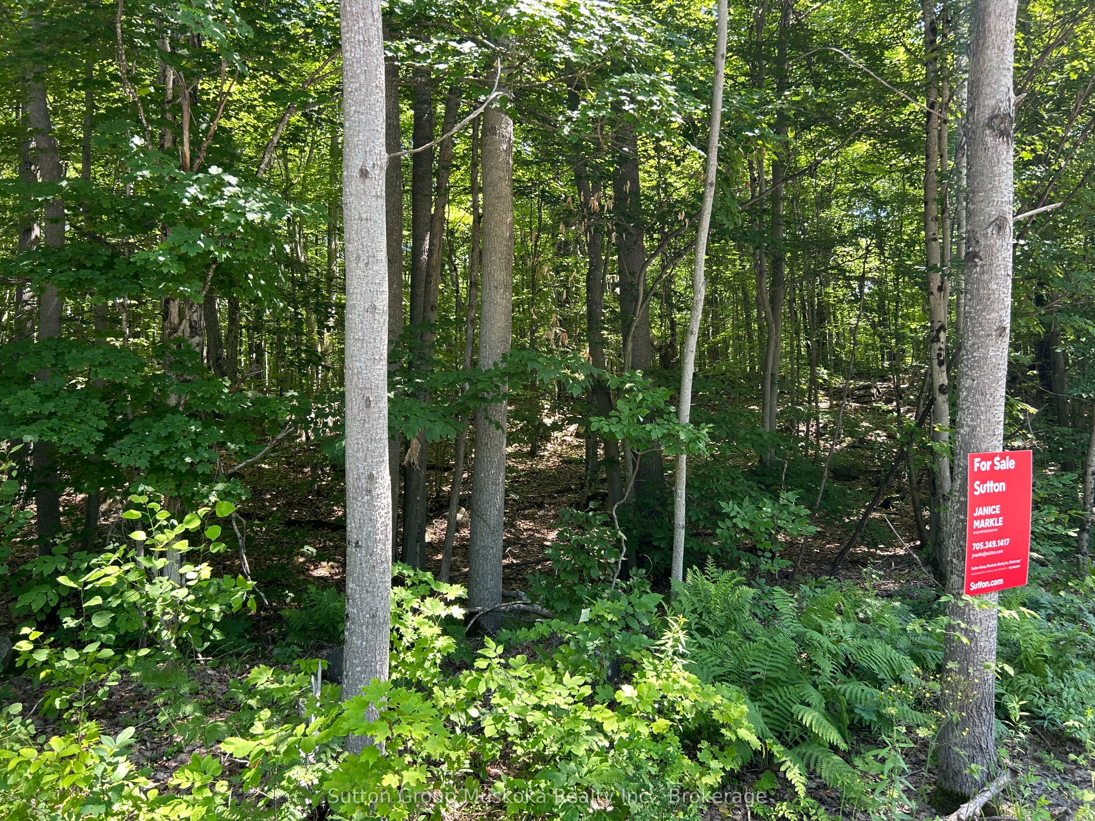 0 Tally Ho Winter Park Road, Lake of Bays, ON P1H 2J3 photo 5