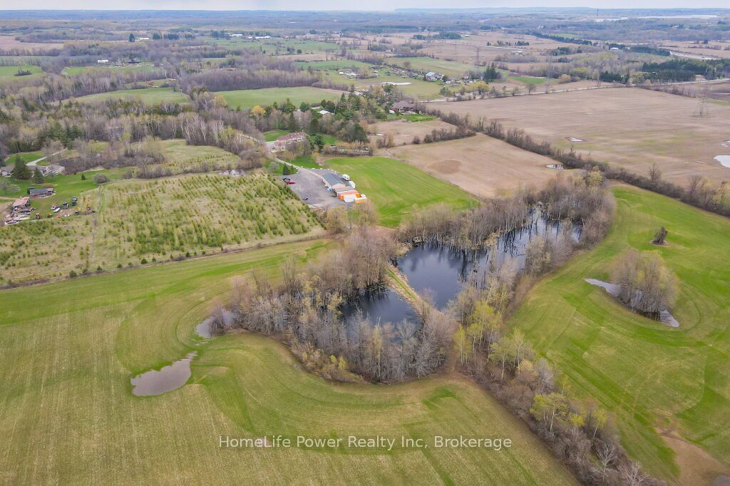 4290 Victoria Road S, Puslinch, ON N0B 2J0 photo 4