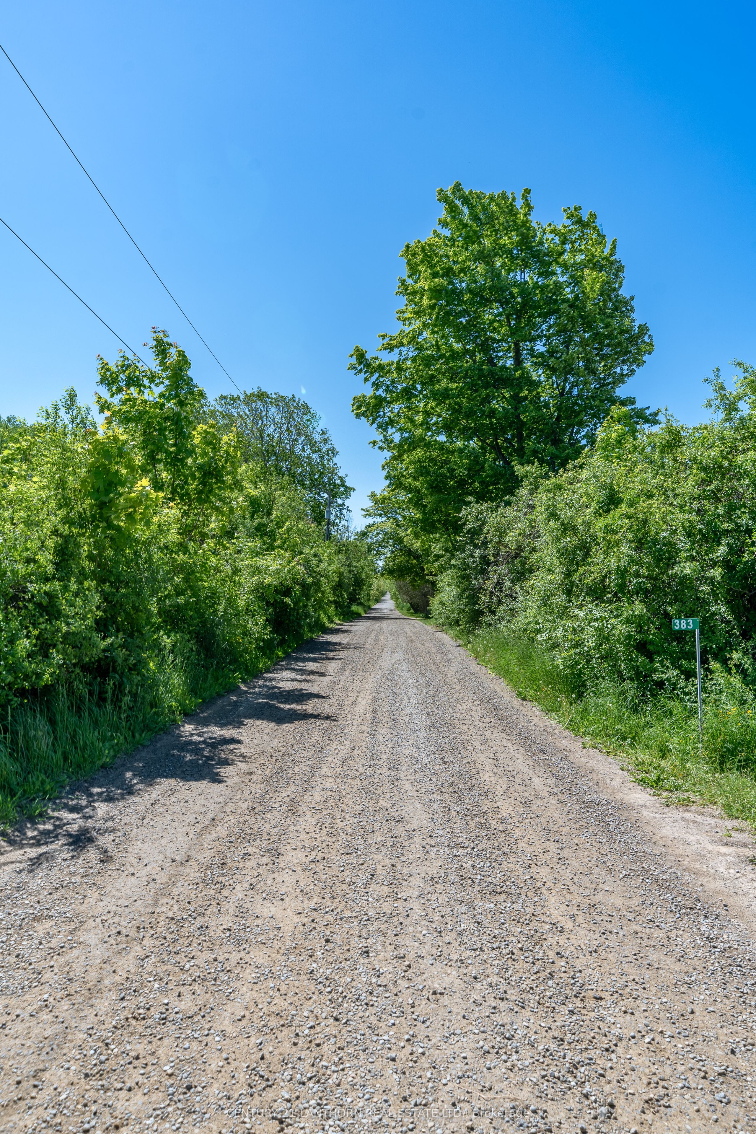 383 Chase Road, Prince Edward County, ON K0K 2J0 photo 4