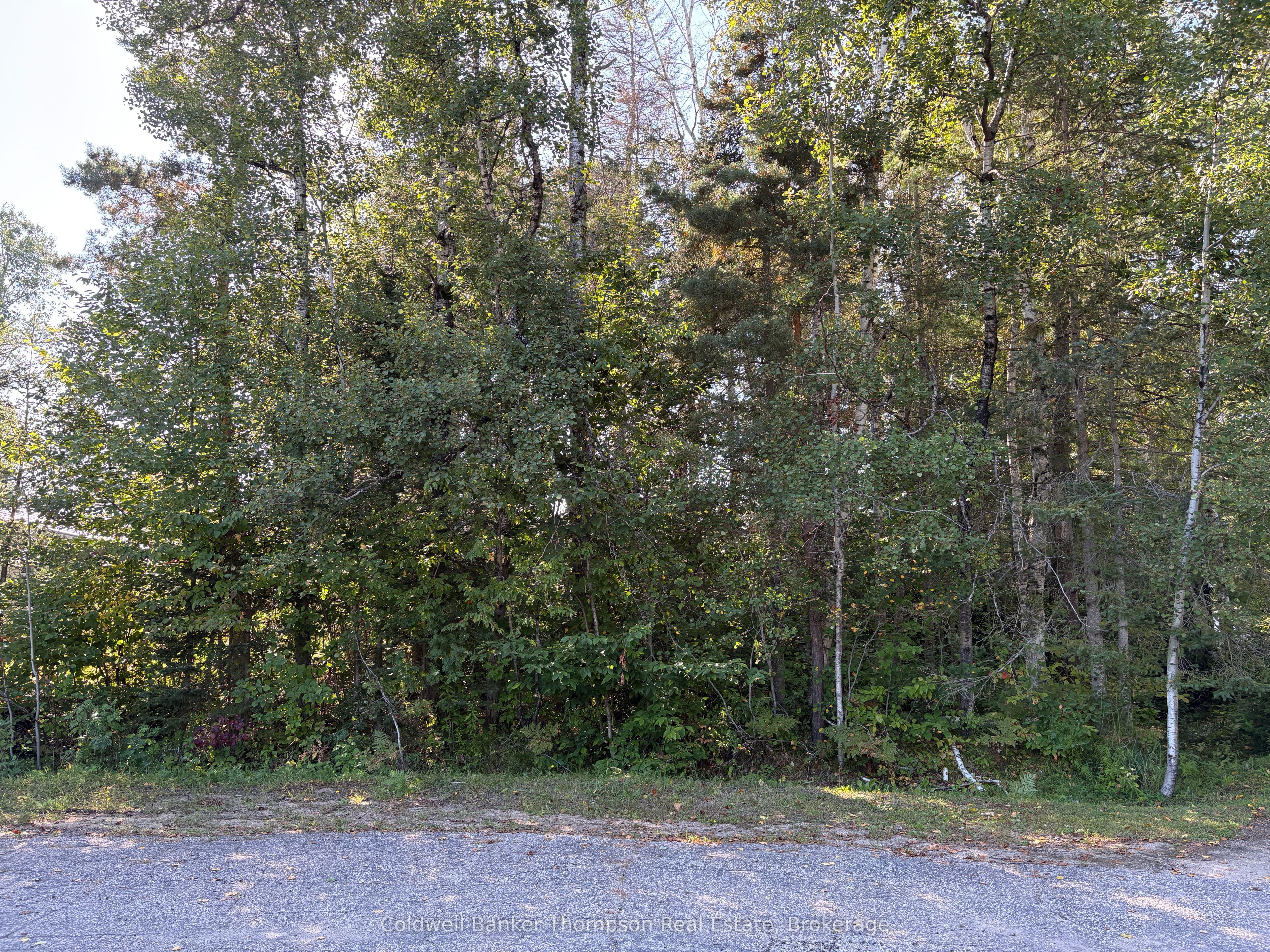 42 Tebby Boulevard, South River, ON P0A 1X0