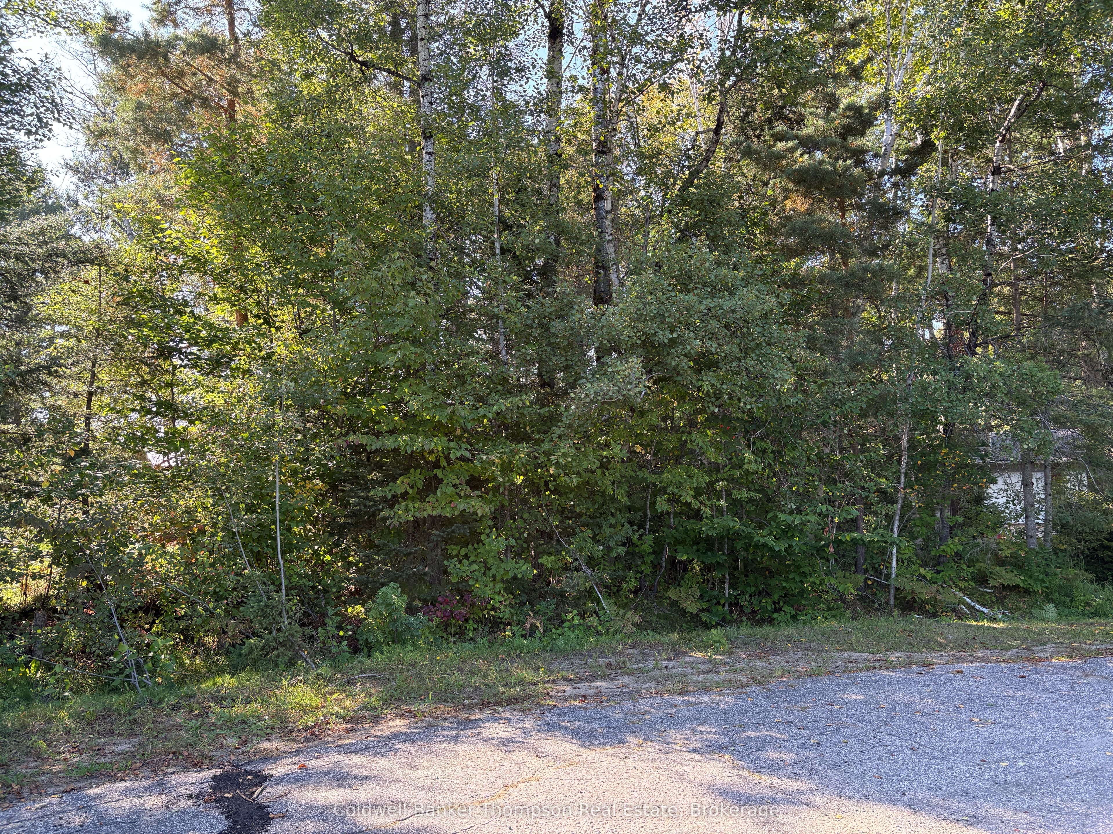 42 Tebby Boulevard, South River, ON P0A 1X0 photo 2