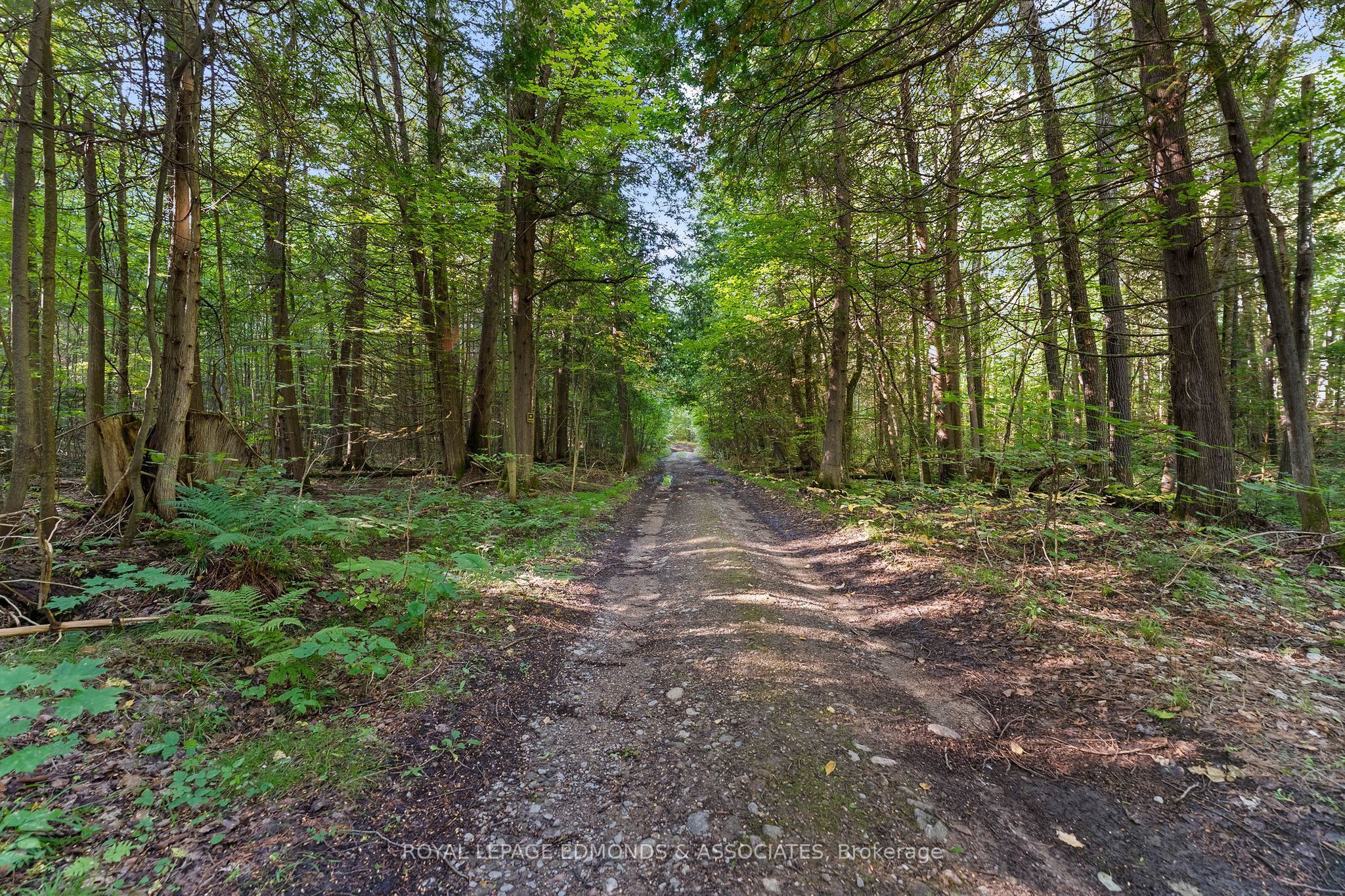 0 CONNAUGHT Road, Admaston/Bromley, ON K0J 1K0 photo 5