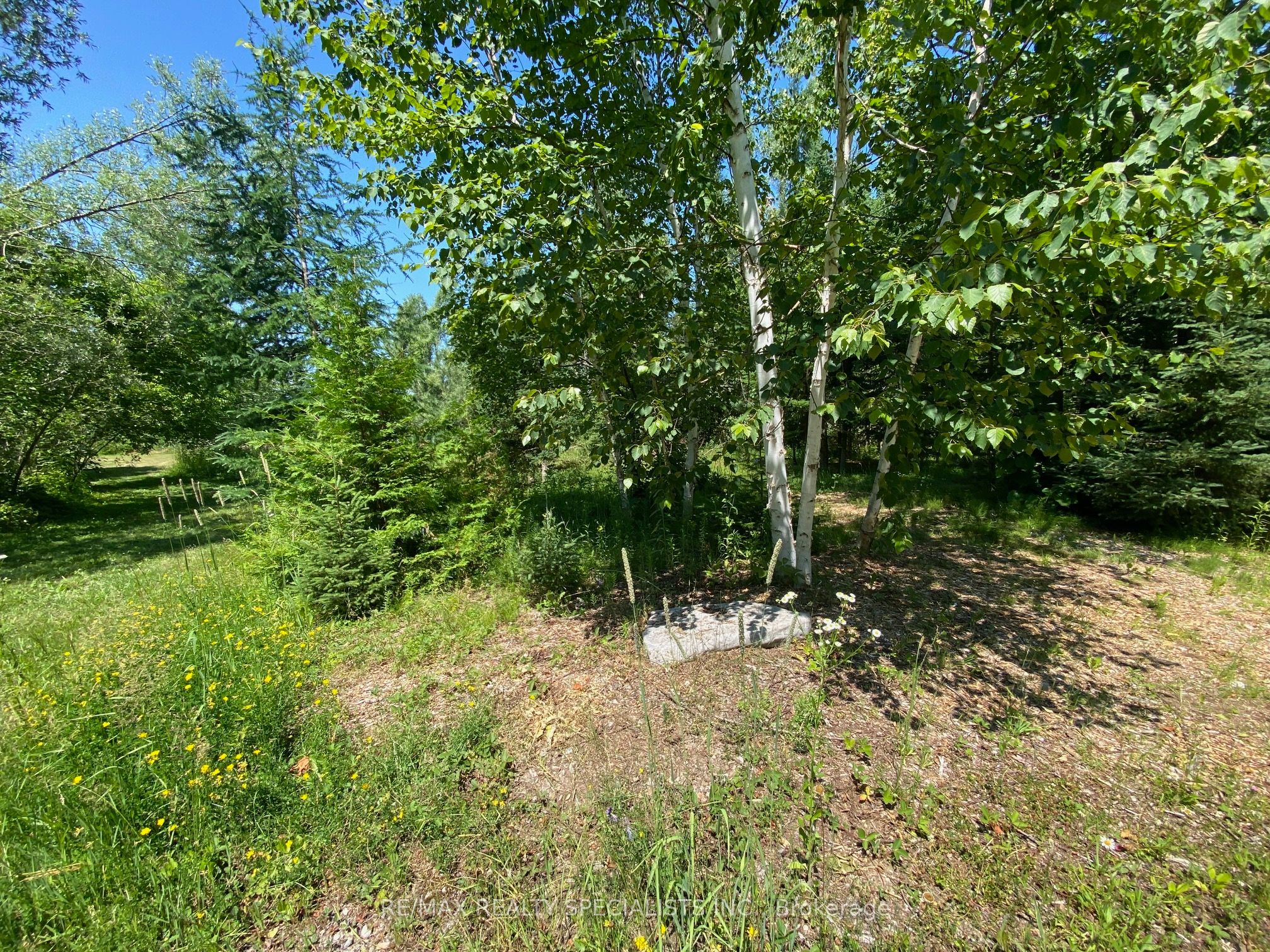 LT12 & 13 OTTER Road, Kawartha Lakes, ON K0M 1K0 photo 4