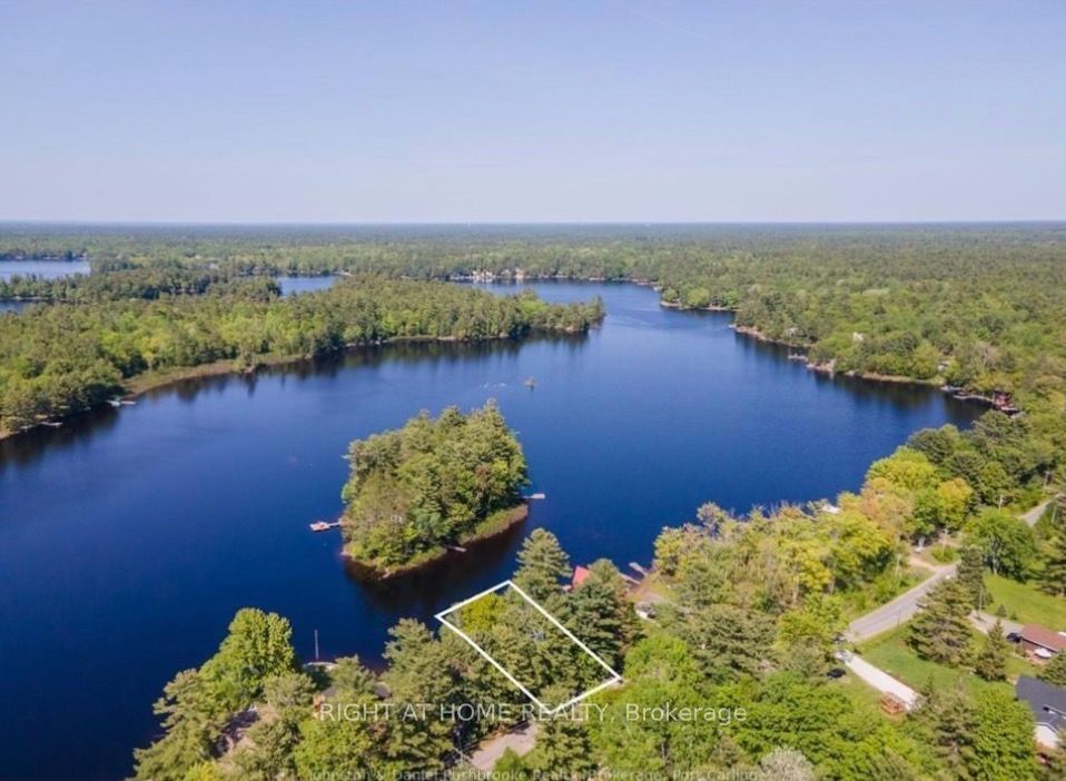 1190 South Morrison Lake Road, Gravenhurst, ON P0E 1G0 photo 3