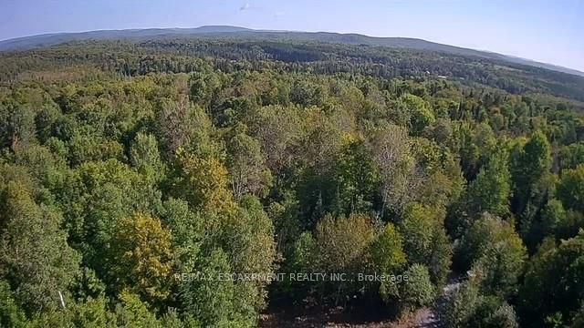 3275 MUSCLOW-GREENVIEW Road, Hastings Highlands, ON K0L 1C0 photo 3