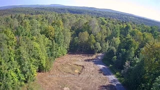 3275 MUSCLOW-GREENVIEW Road, Hastings Highlands, ON K0L 1C0 photo 4