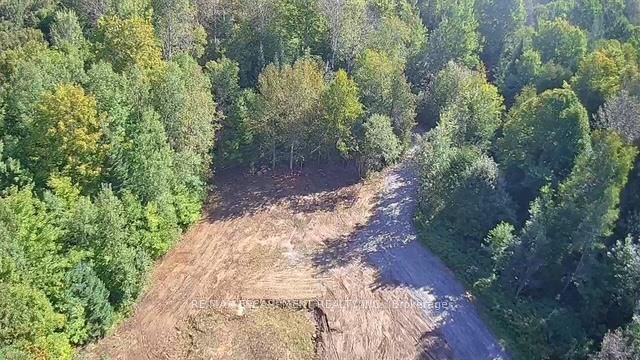 3275 MUSCLOW-GREENVIEW Road, Hastings Highlands, ON K0L 1C0 photo 5