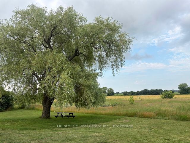 1756 DANFORTH Road, Prince Edward County, ON K0K 2J0 photo 3