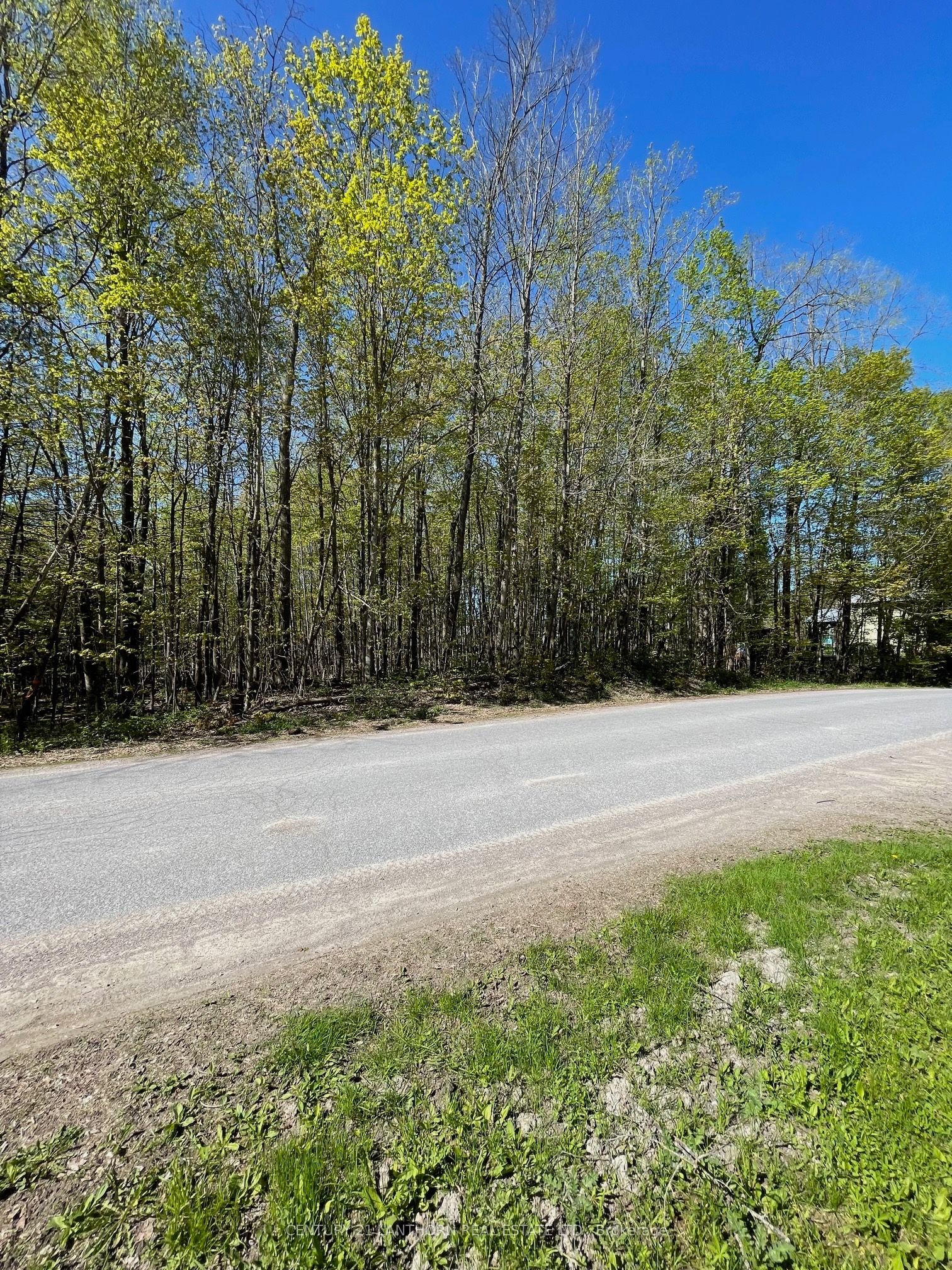 30 Luffman Road, Tweed, ON K0K 2L0 photo 2