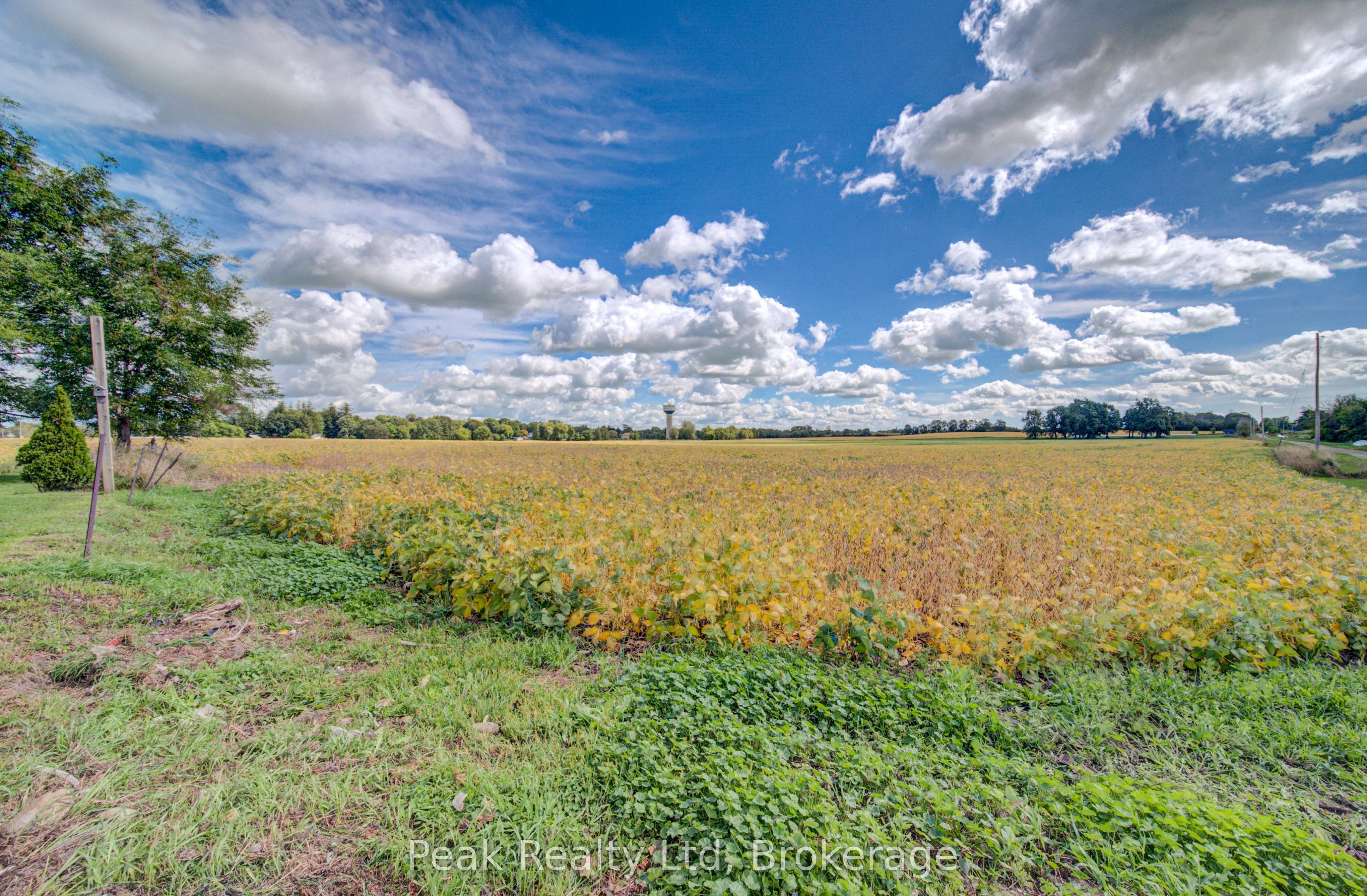 5773 Highway 23 Highway, Minto, ON N0G 1Z0 photo 5