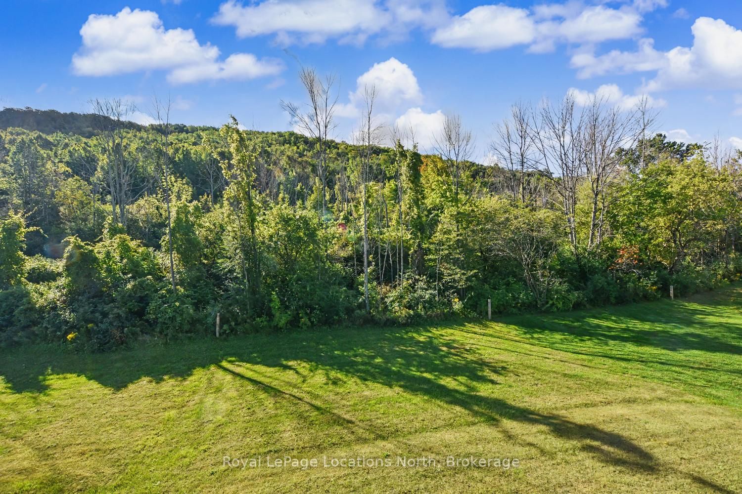 124 Dorothy Drive, Blue Mountains, ON N0H 1J0 photo 3
