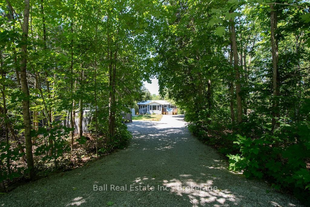 71 Grantsville Trail, Trent Lakes, ON K0L 1J0 photo 4