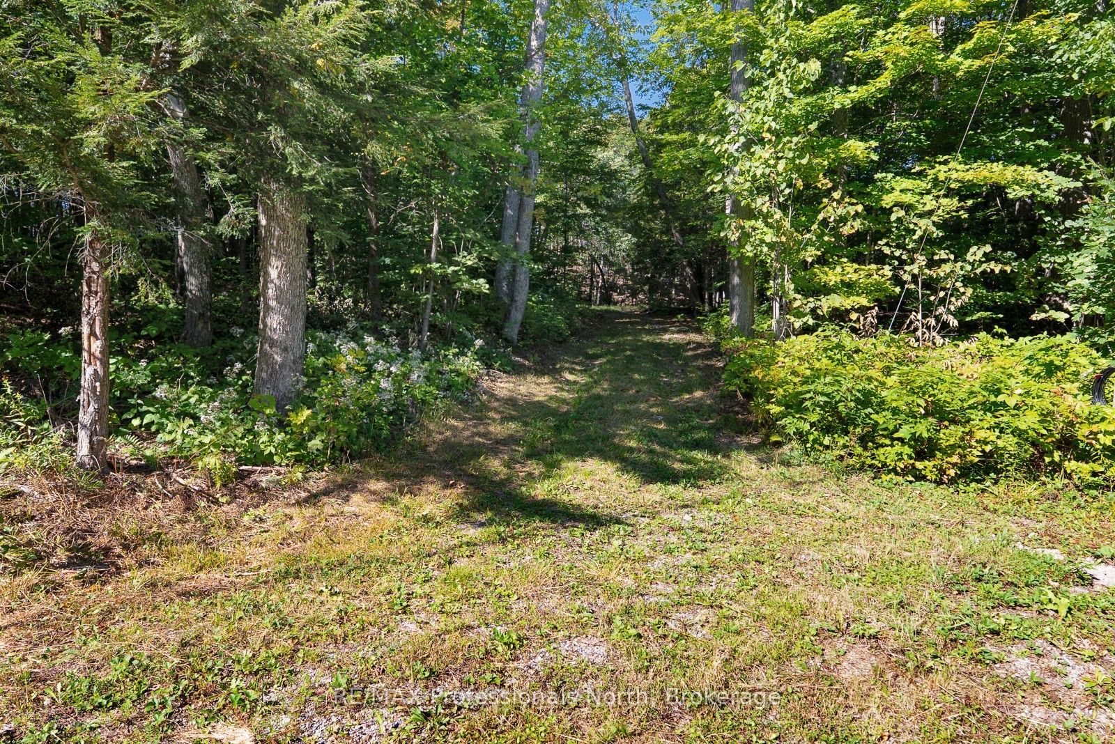 2612 Wilkinson Road, Dysart et al, ON K0M 1S0 photo 4