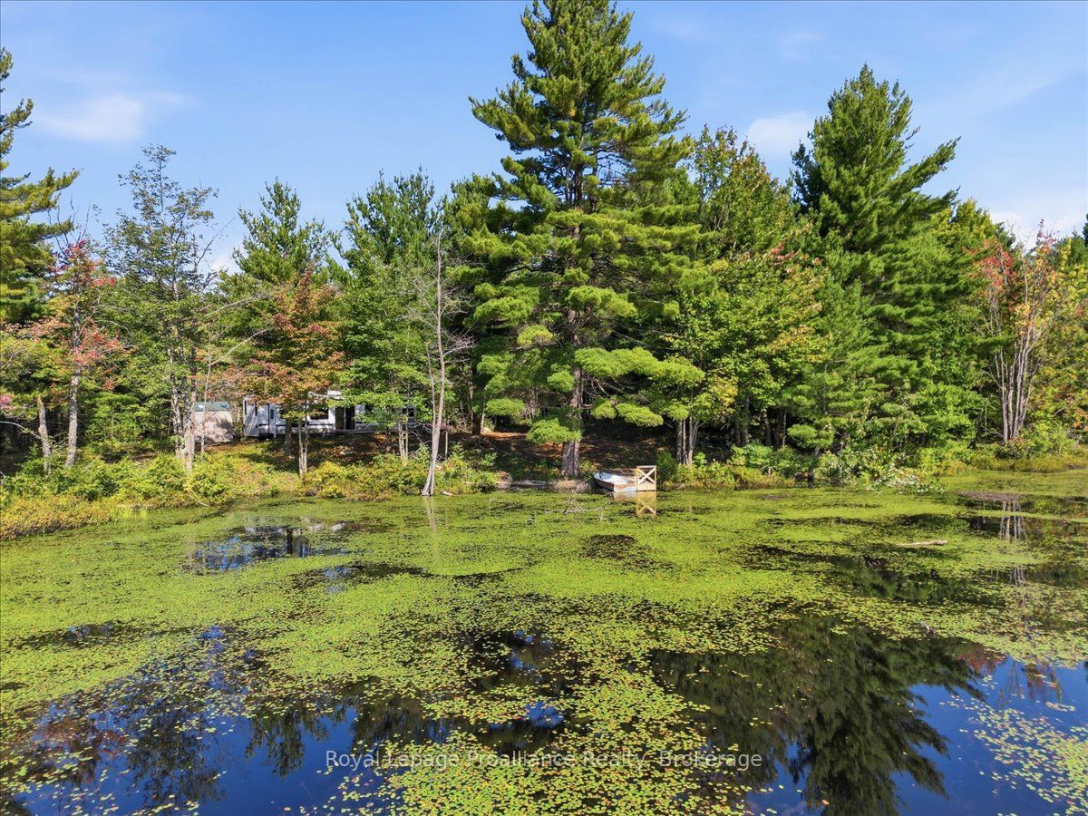 292 Hartin Road, Addington Highlands, ON K0H 2G0 photo 3