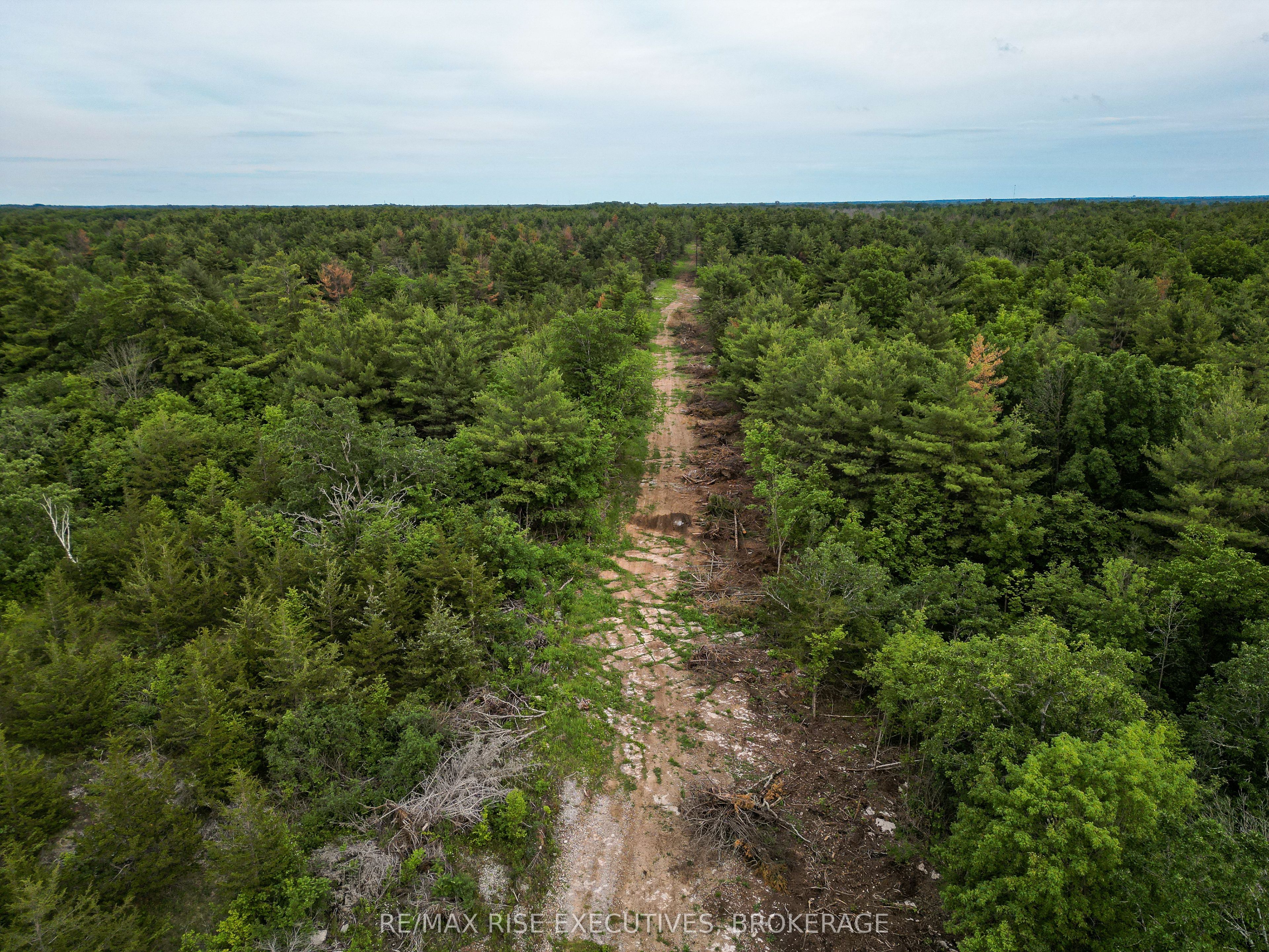Lot 1 McKeown Road, Stone Mills, ON K7R 3L2 photo 4