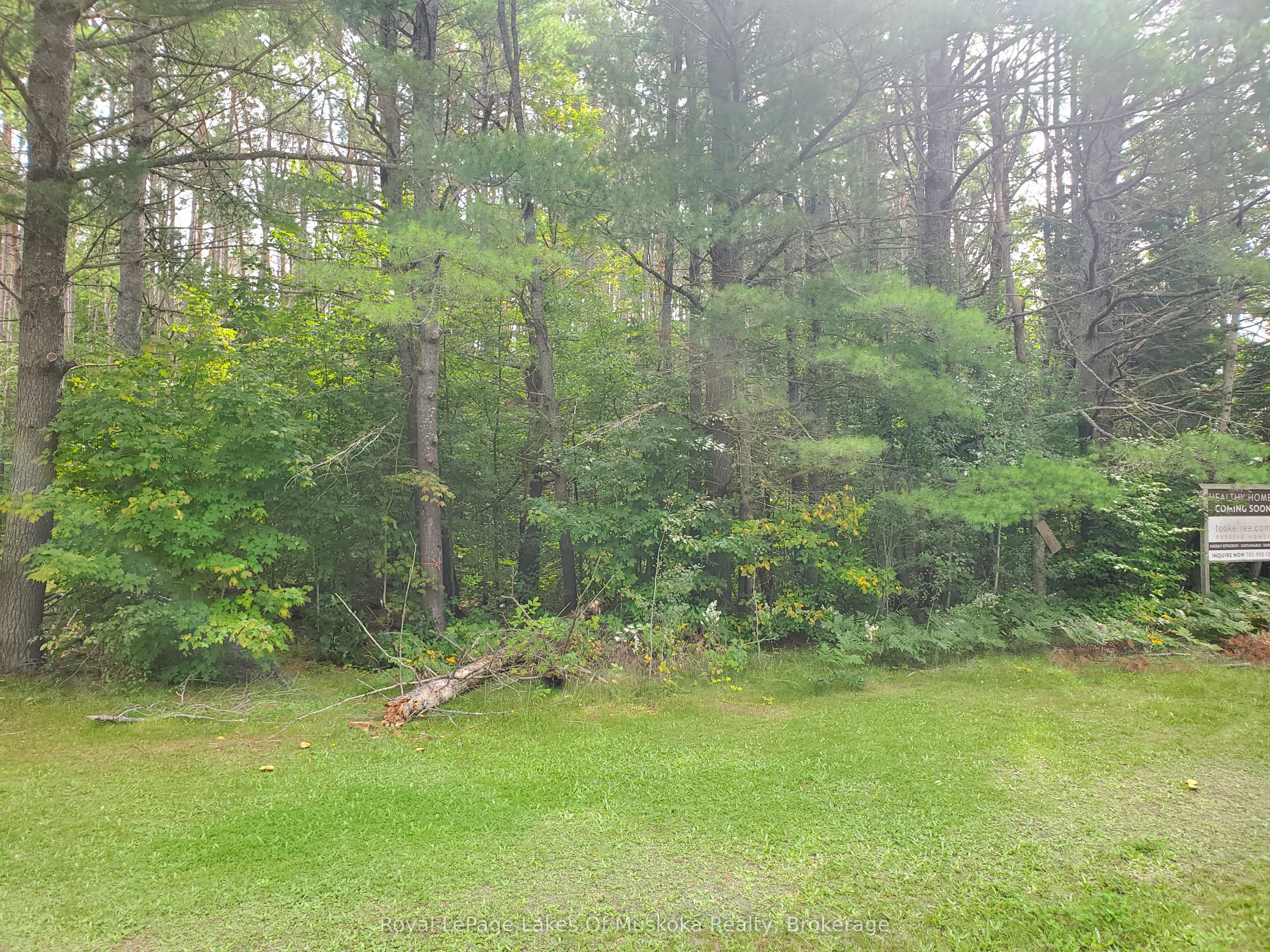 000 Muskoka 117 Road, Lake of Bays, ON P0B 1A0 photo 2