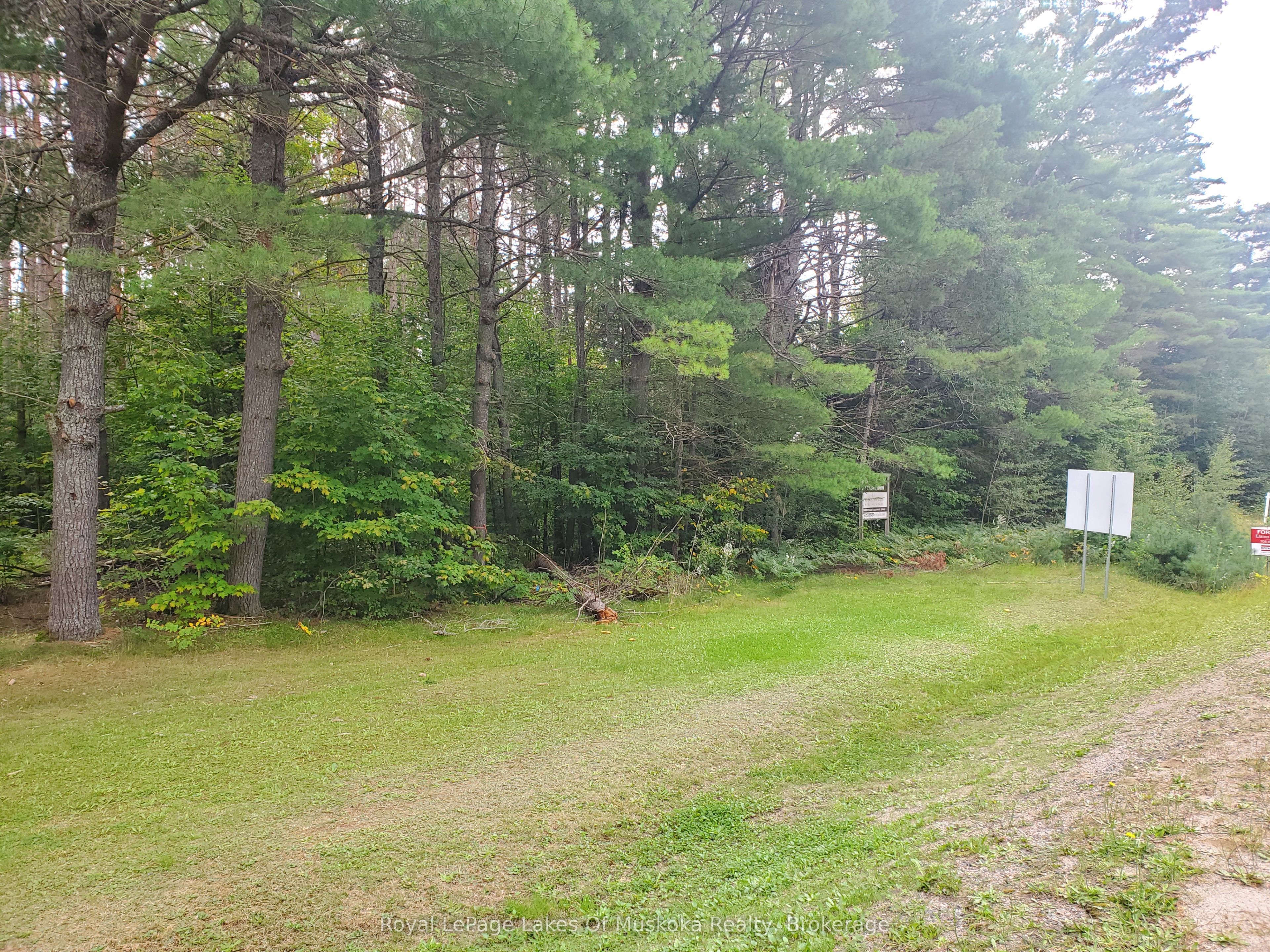 000 Muskoka 117 Road, Lake of Bays, ON P0B 1A0 photo 3