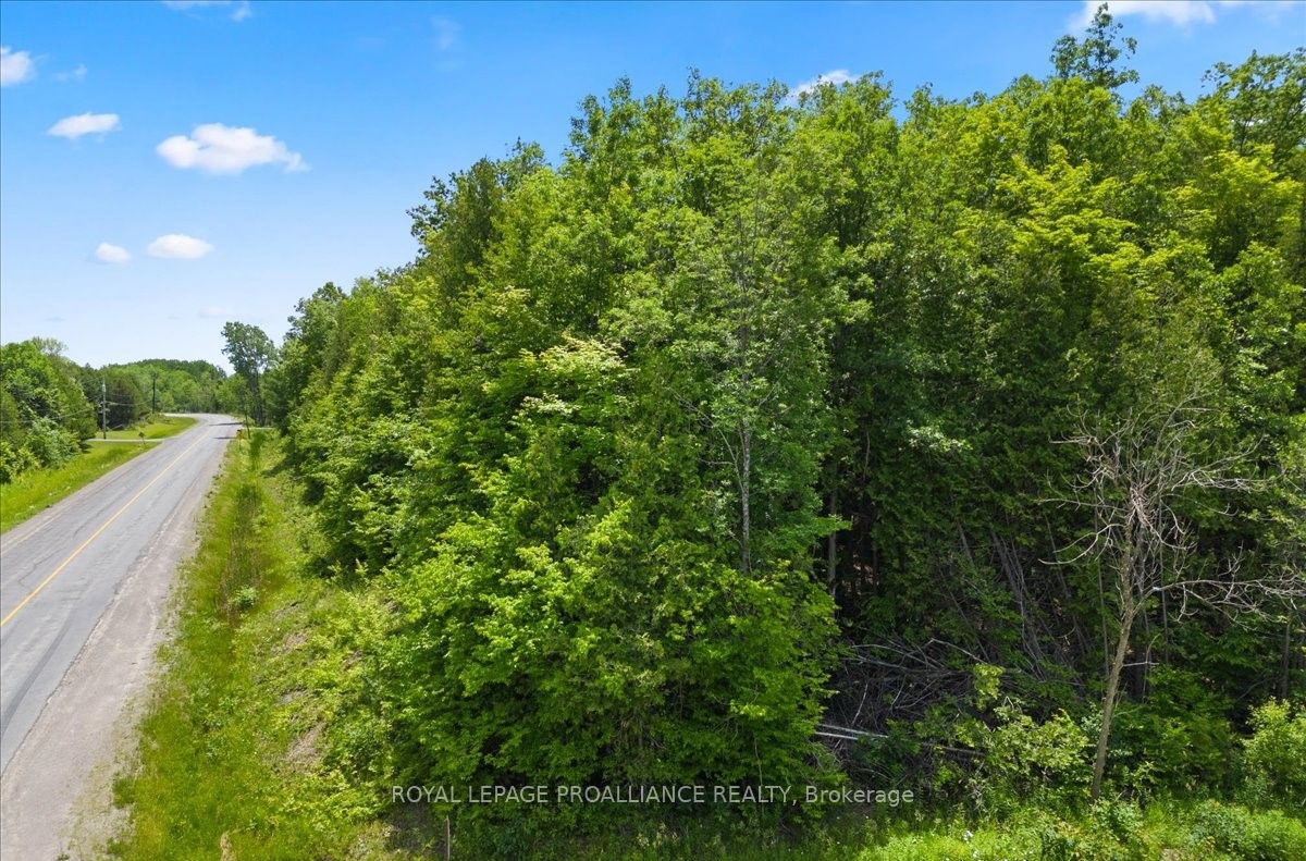 0 Marlbank Rd, Tweed, ON K0K 3J0 photo 2