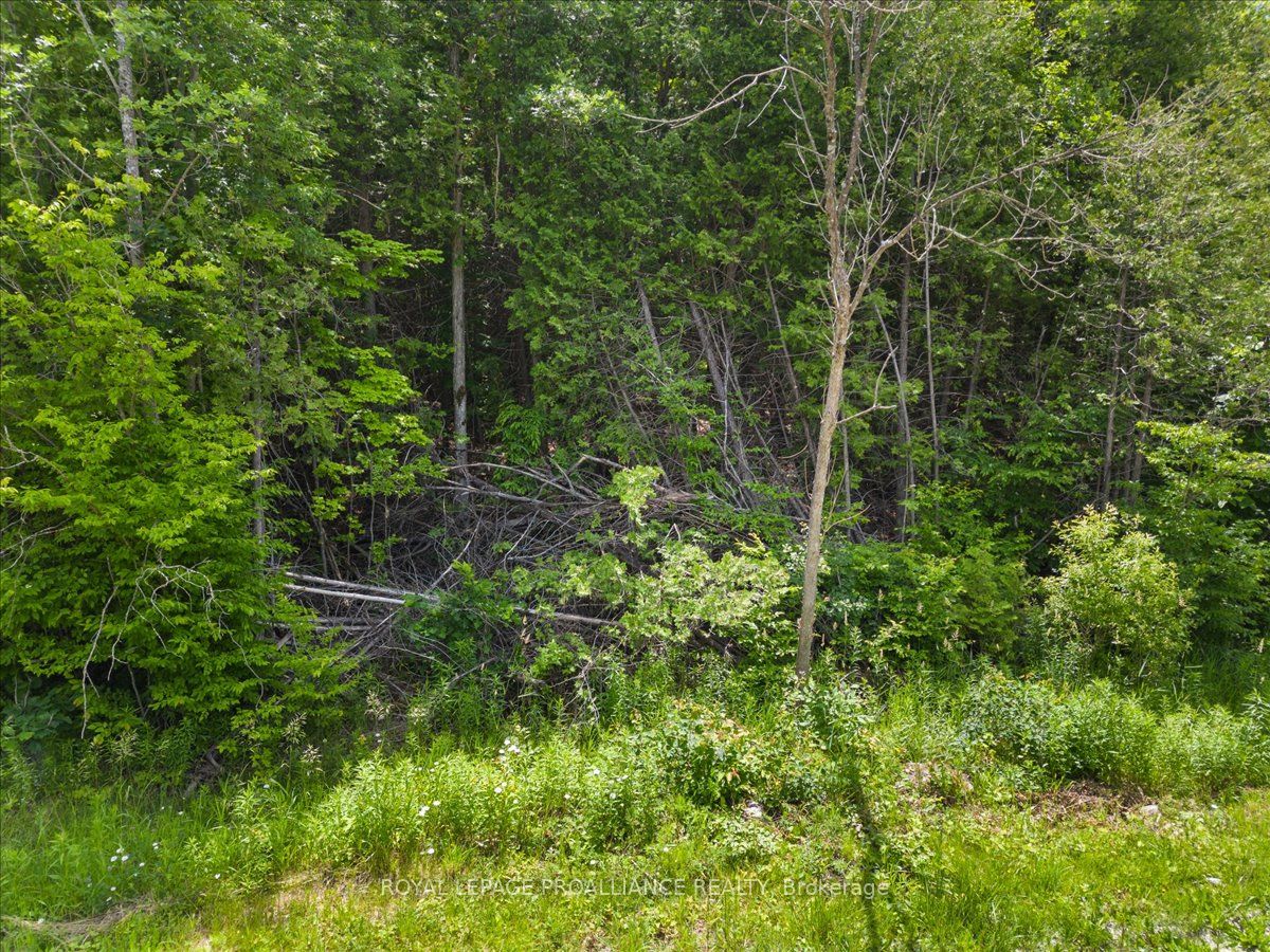 0 Marlbank Rd, Tweed, ON K0K 3J0 photo 3