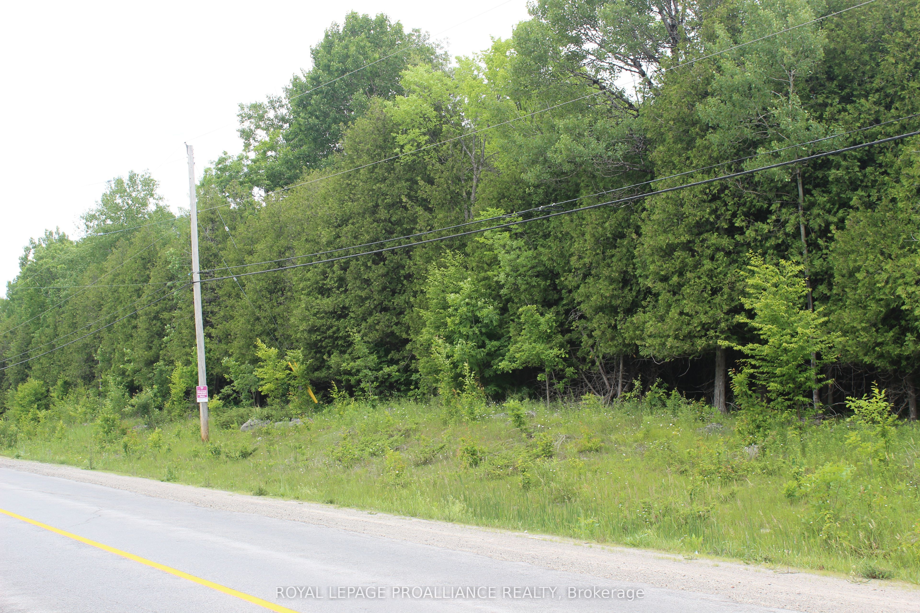 0 Marlbank Rd, Tweed, ON K0K 3J0 photo 4
