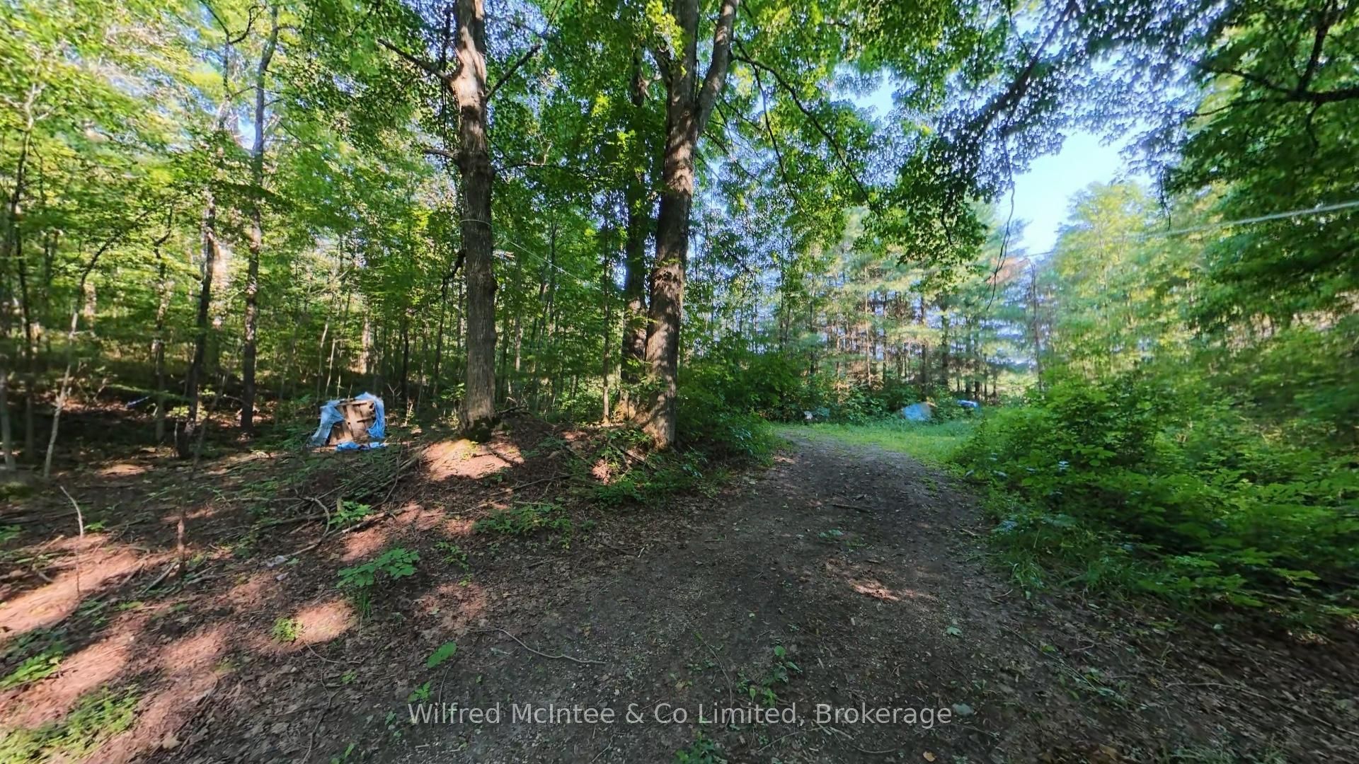PT LT 10 CON 7 Bruce Road 6E Road, South Bruce, ON N0G 2J0 photo 5