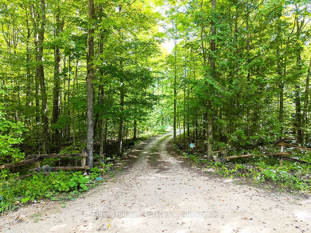 495595 Veterans Road S, Chatsworth, ON N0H 1R0 photo 3