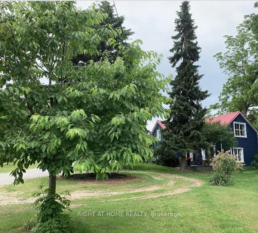 393 Canboro Road, Pelham, ON L0S 1M0 photo 2