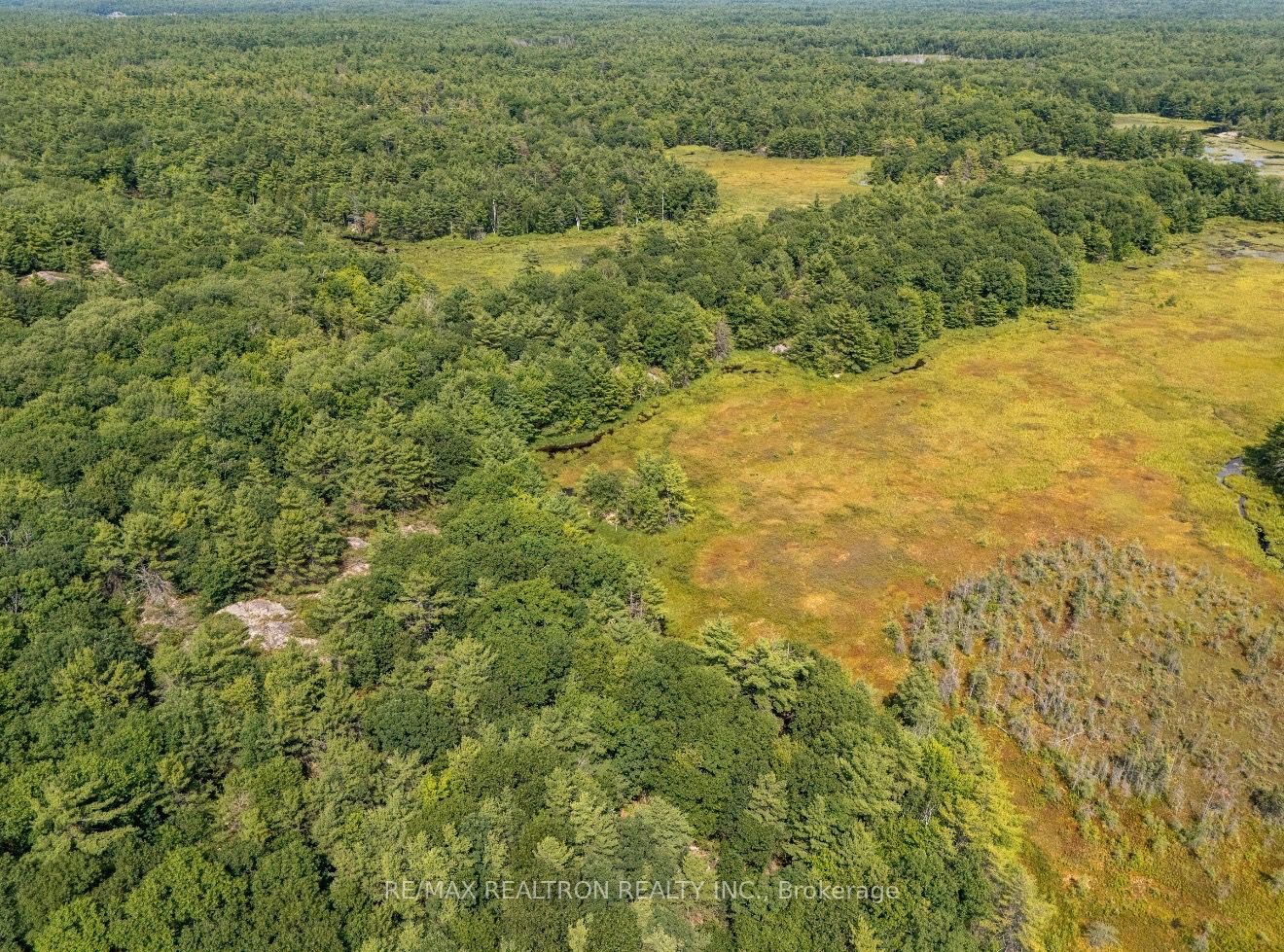 13610 Georgian Bay Shore, Georgian Bay, ON P0E 1E0 photo 4