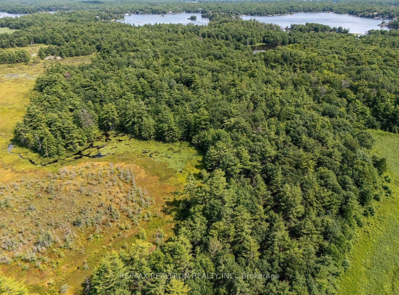 13610 Georgian Bay Shore, Georgian Bay, ON P0E 1E0 photo 5