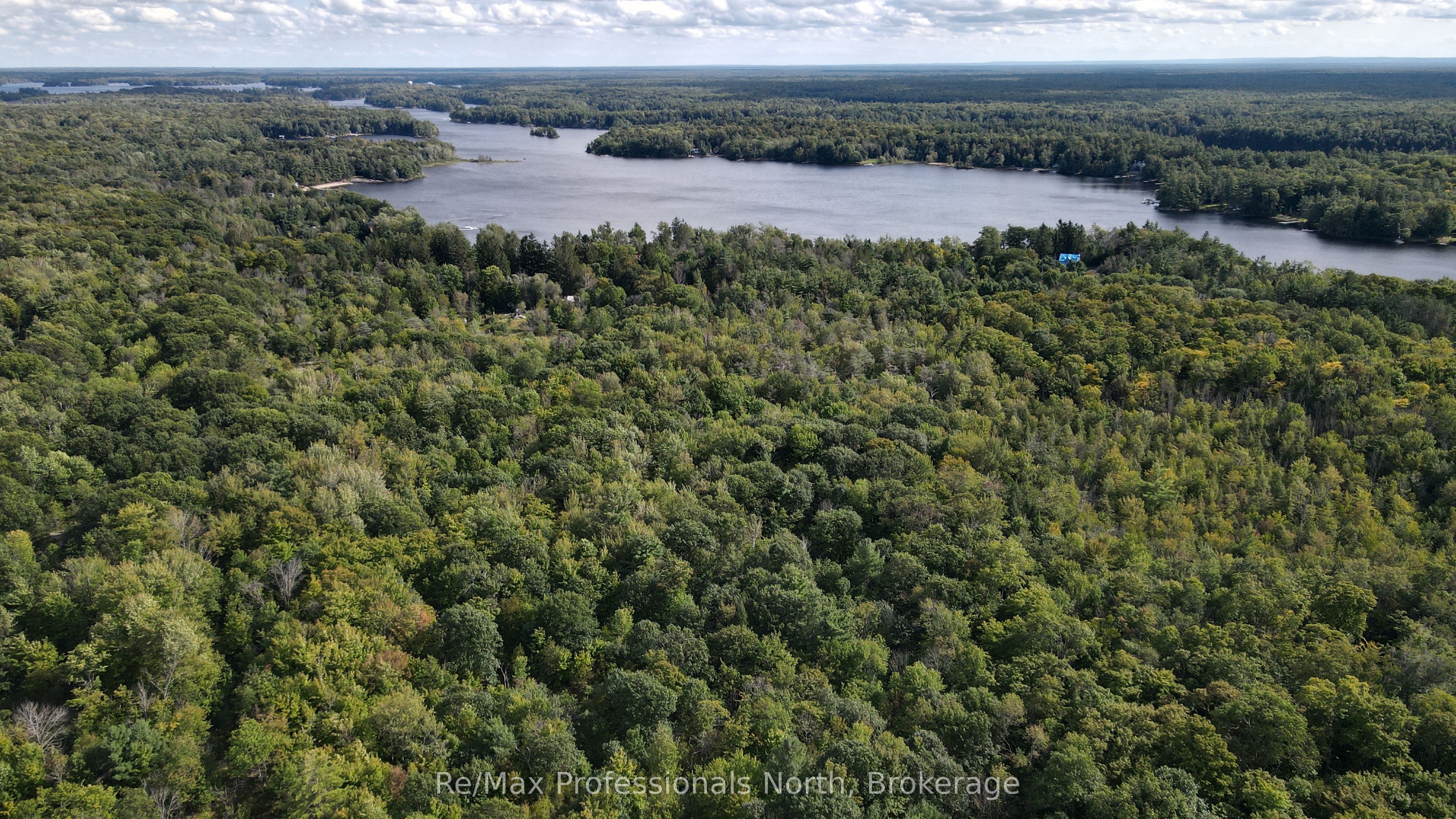 1268 Moon River Road, Muskoka Lakes, ON L0K 1E0 photo 3