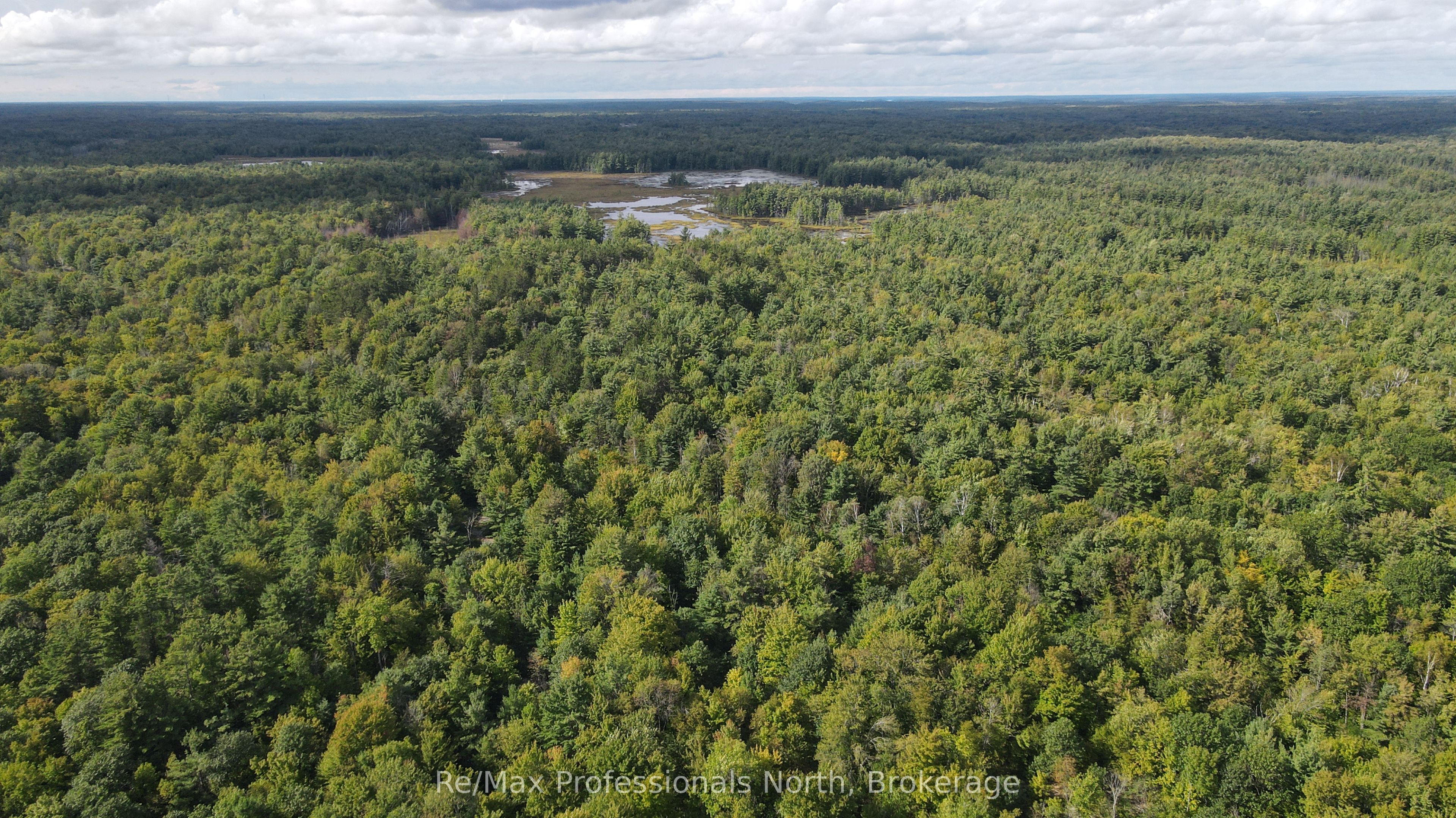 1268 Moon River Road, Muskoka Lakes, ON L0K 1E0 photo 4