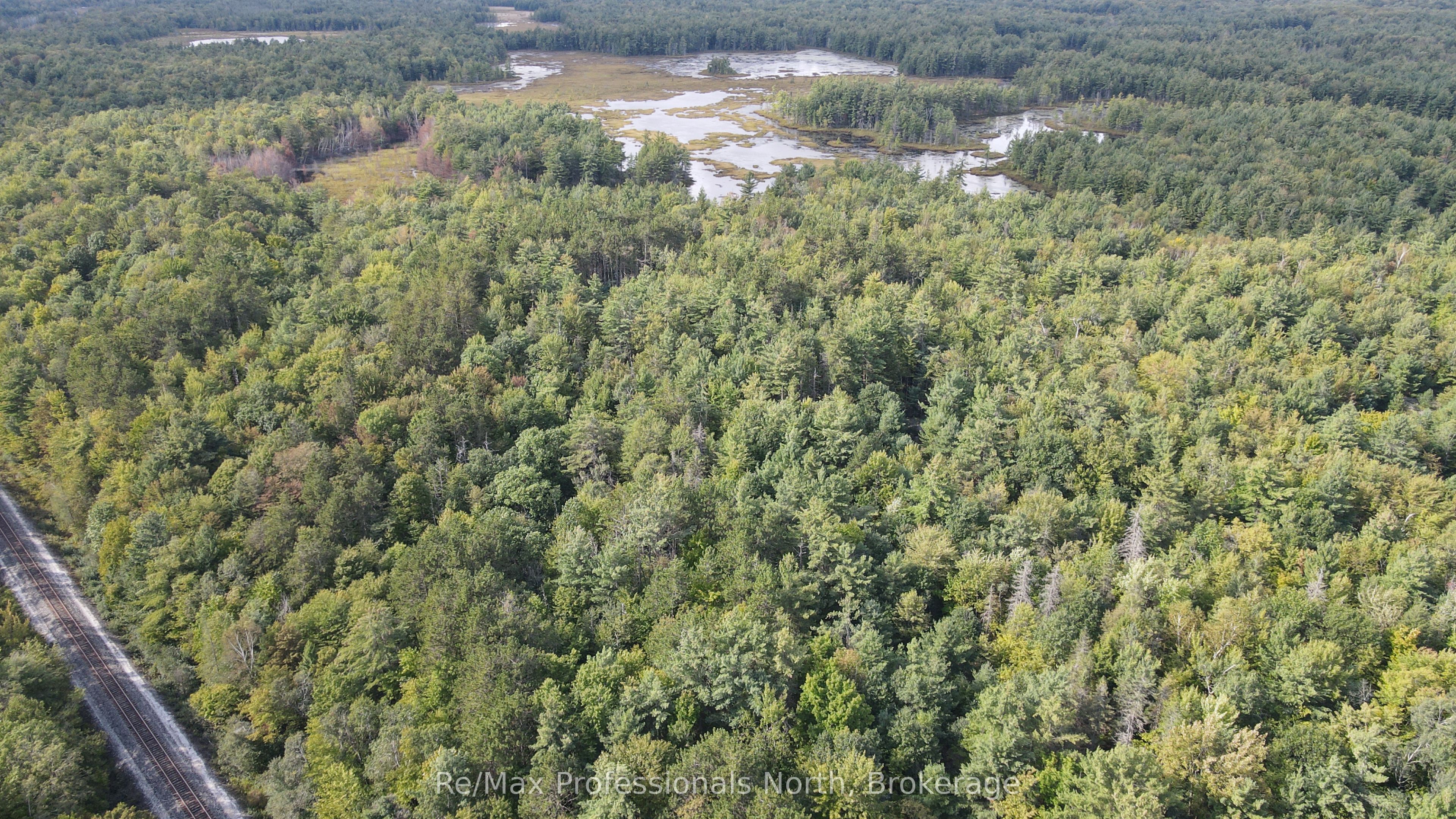 1268 Moon River Road, Muskoka Lakes, ON L0K 1E0 photo 5
