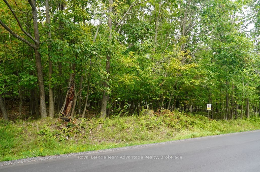 99 Carling Bay Road E, Carling, ON P0G 1G0