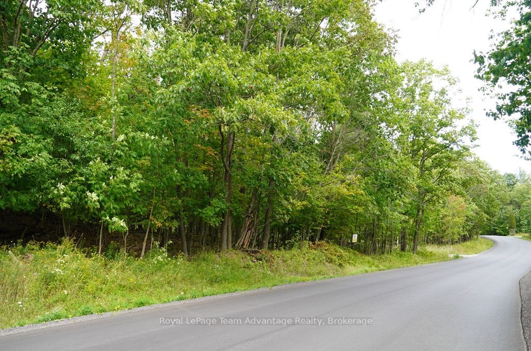 99 Carling Bay Road E, Carling, ON P0G 1G0 photo 2