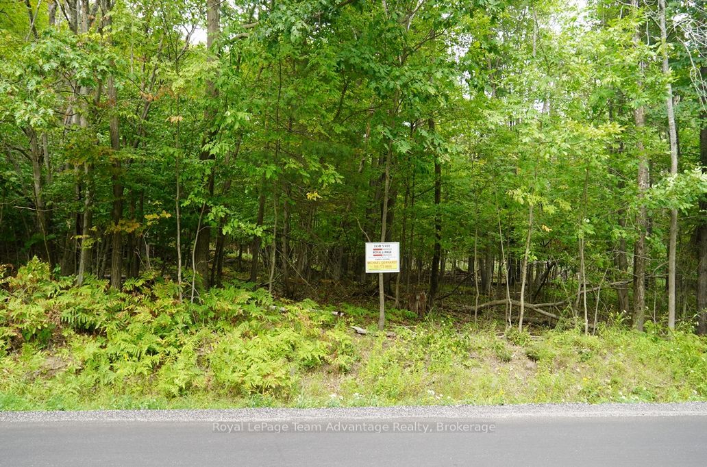 99 Carling Bay Road E, Carling, ON P0G 1G0 photo 5