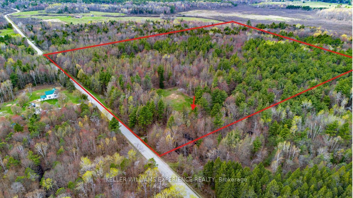 7390 Sadowa Road, Kawartha Lakes, ON L0K 1W0 photo 2