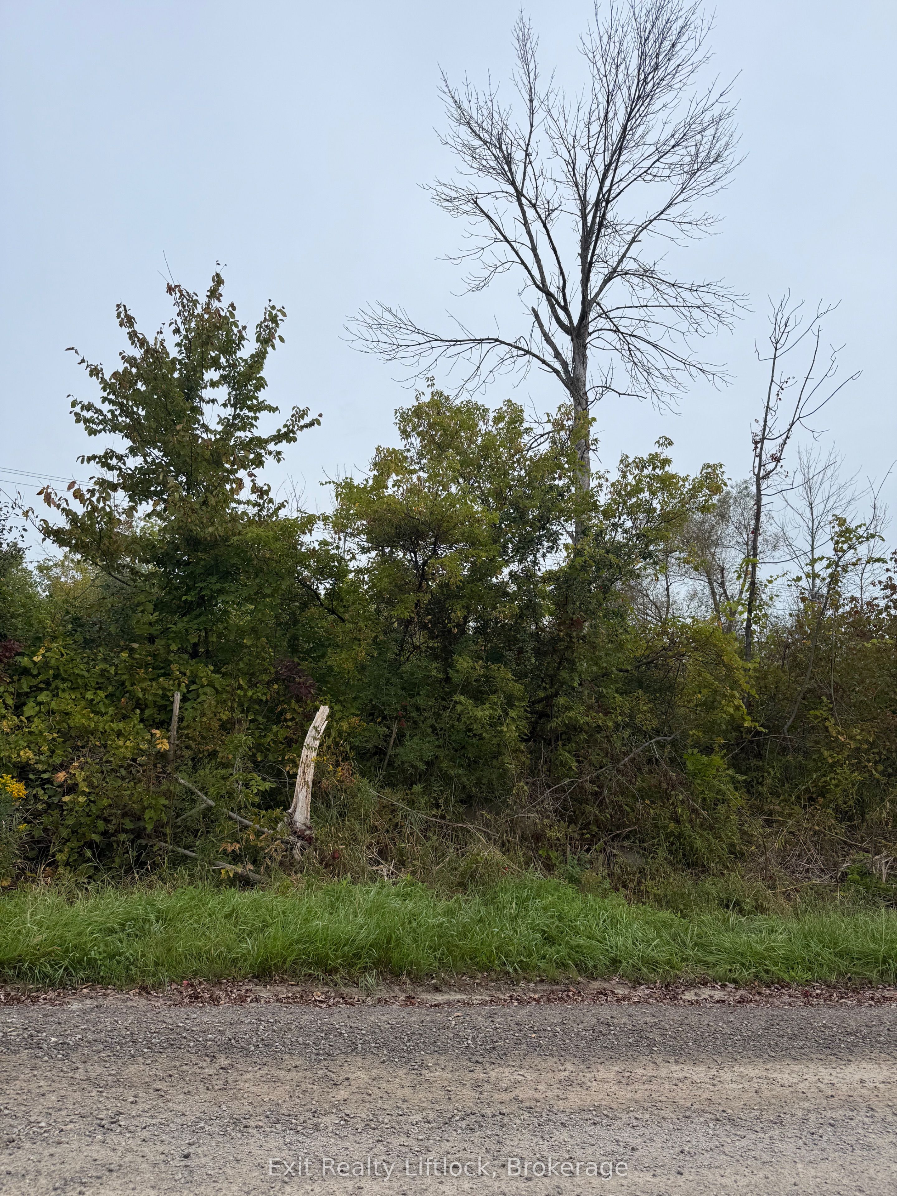 00 Bagley Road, Trent Hills, ON K0K 3K0 photo 2