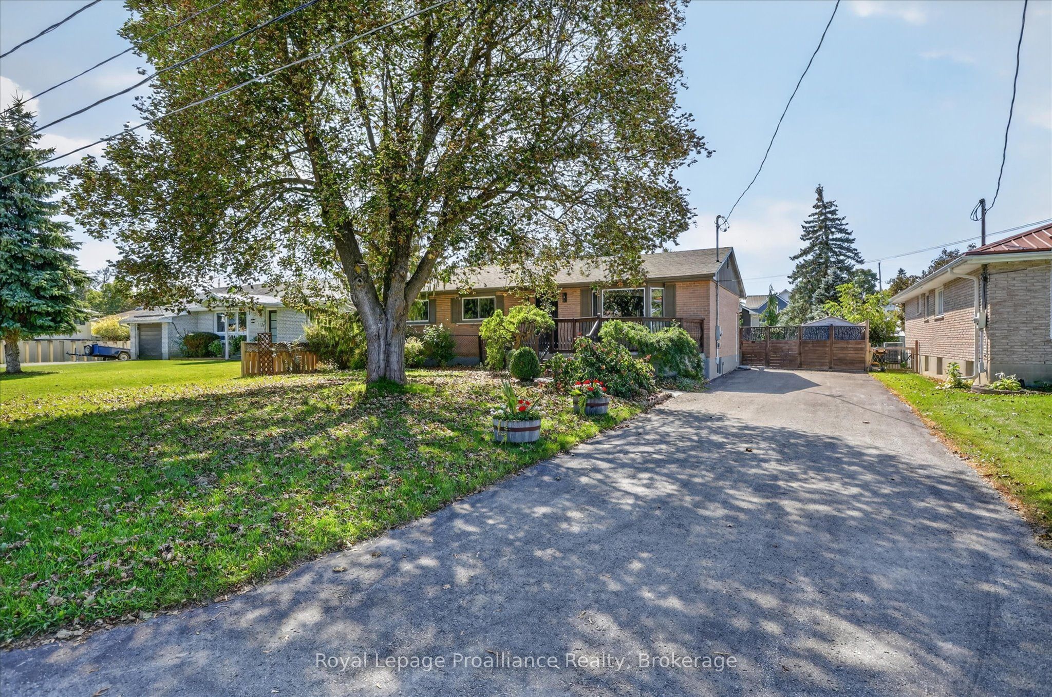 70 Elmore Street, Trent Hills, ON K0L 1L0 photo 3