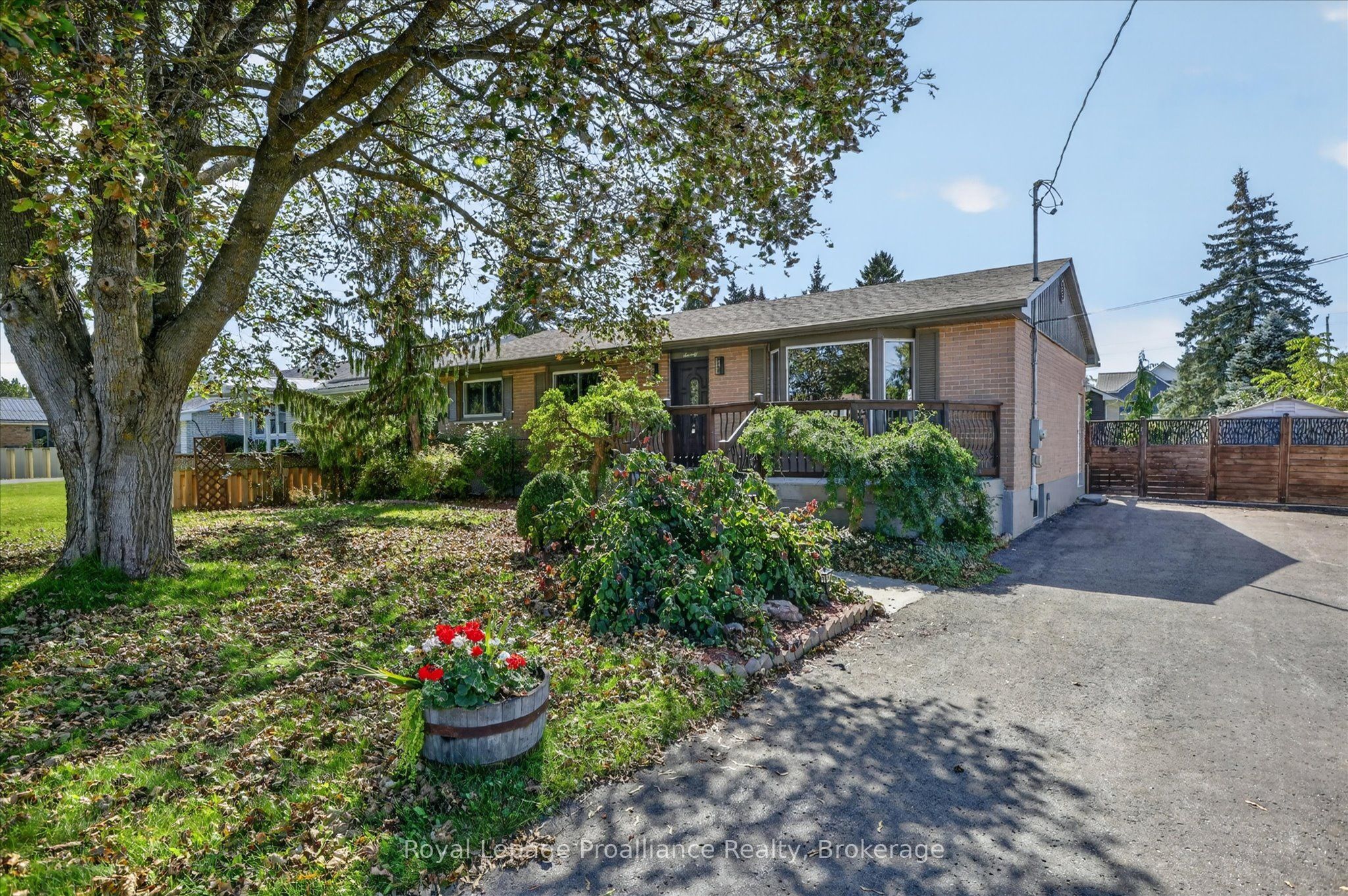 70 Elmore Street, Trent Hills, ON K0L 1L0 photo 4