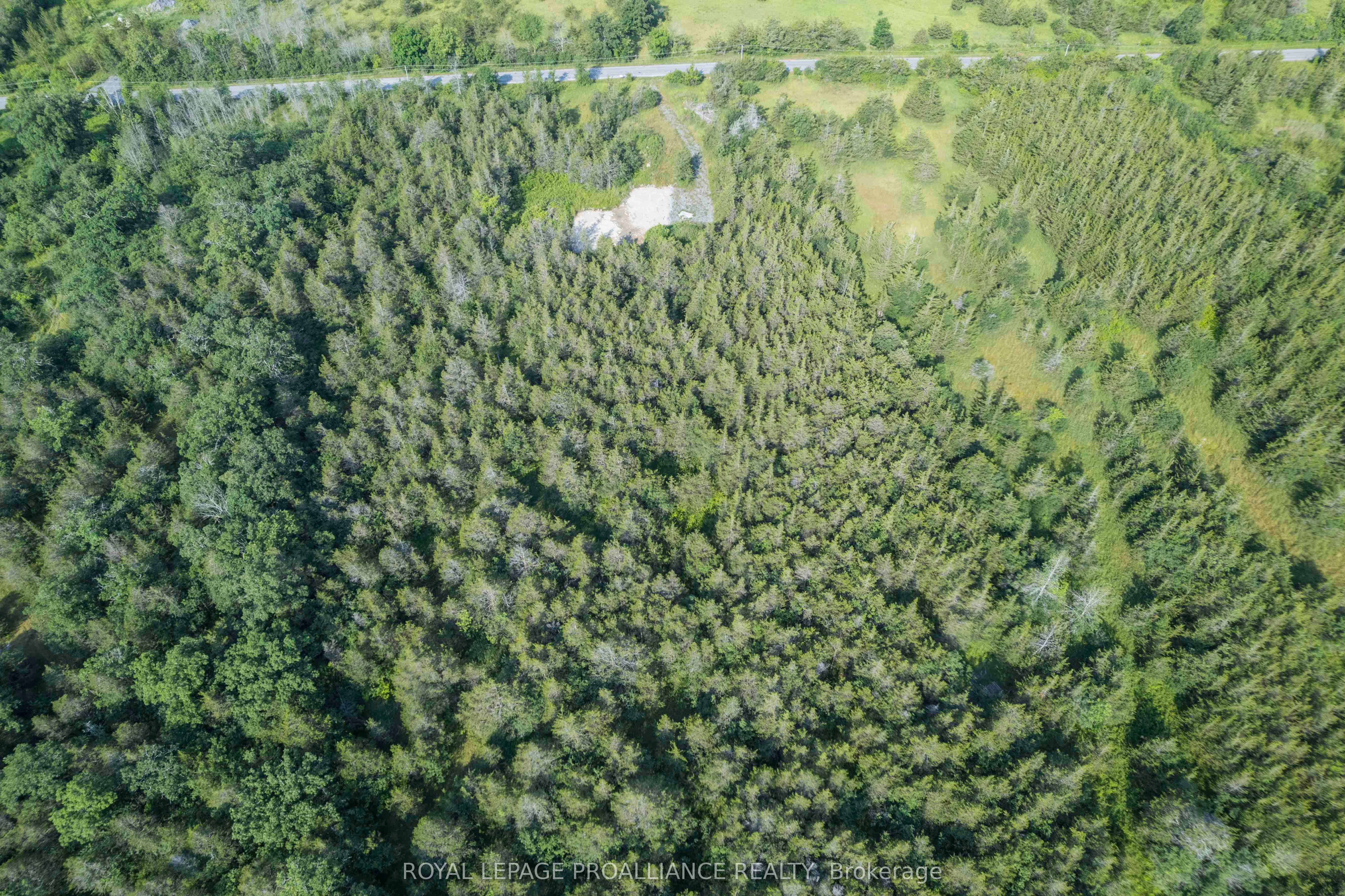 Lot 45 Sprague Road, Prince Edward County, ON K0K 1W0 photo 4