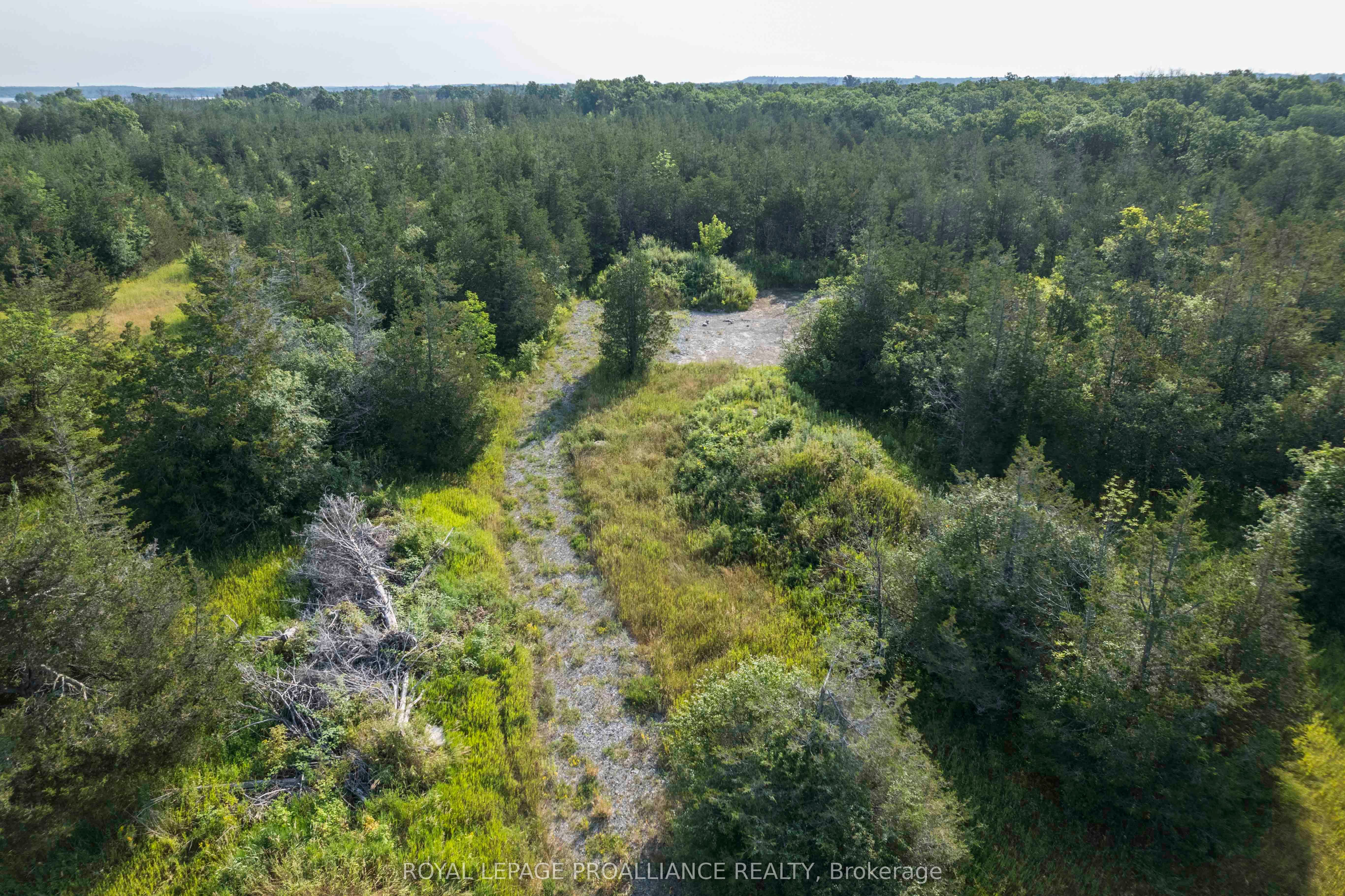 Lot 45 Sprague Road, Prince Edward County, ON K0K 1W0 photo 5