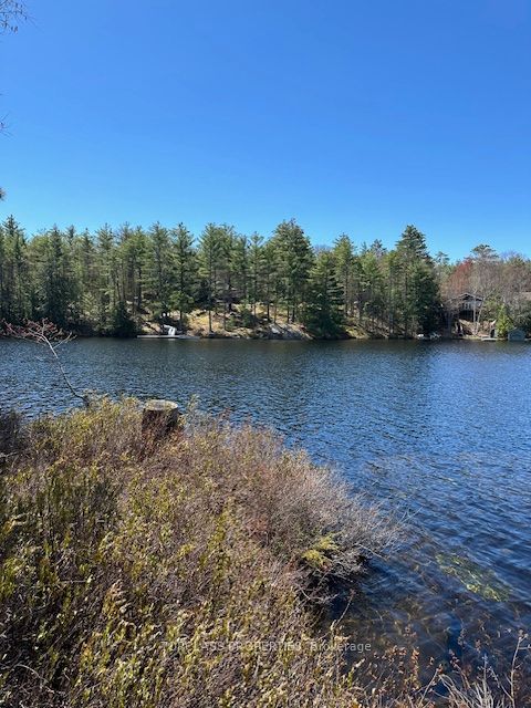 1 Island, Gravenhurst, ON P1P 1R1 photo 3
