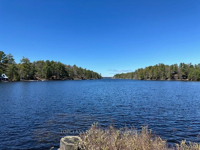 1 Island, Gravenhurst, ON P1P 1R1 photo 4