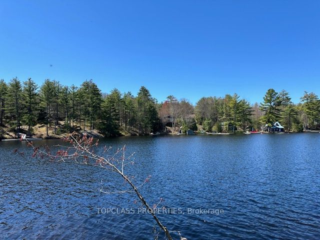 1 Island, Gravenhurst, ON P1P 1R1 photo 5
