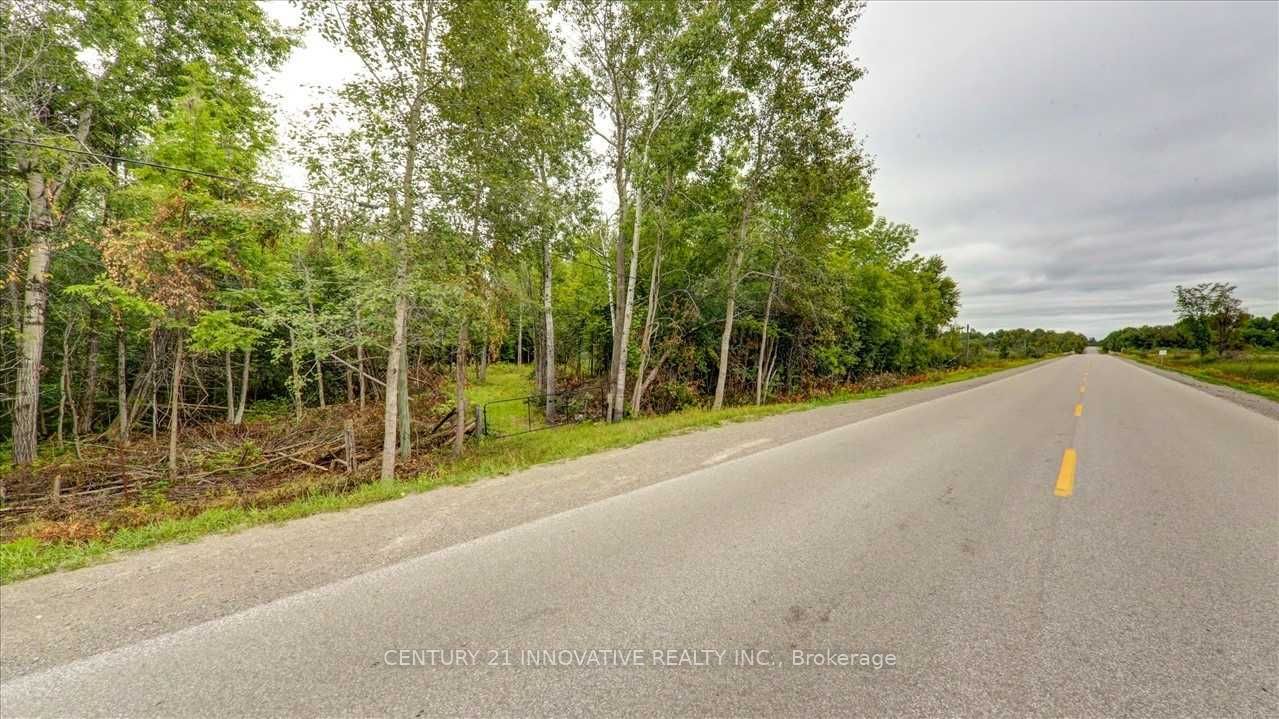 791 Mount Horeb Road, Kawartha Lakes, ON K0L 2W0 photo 2