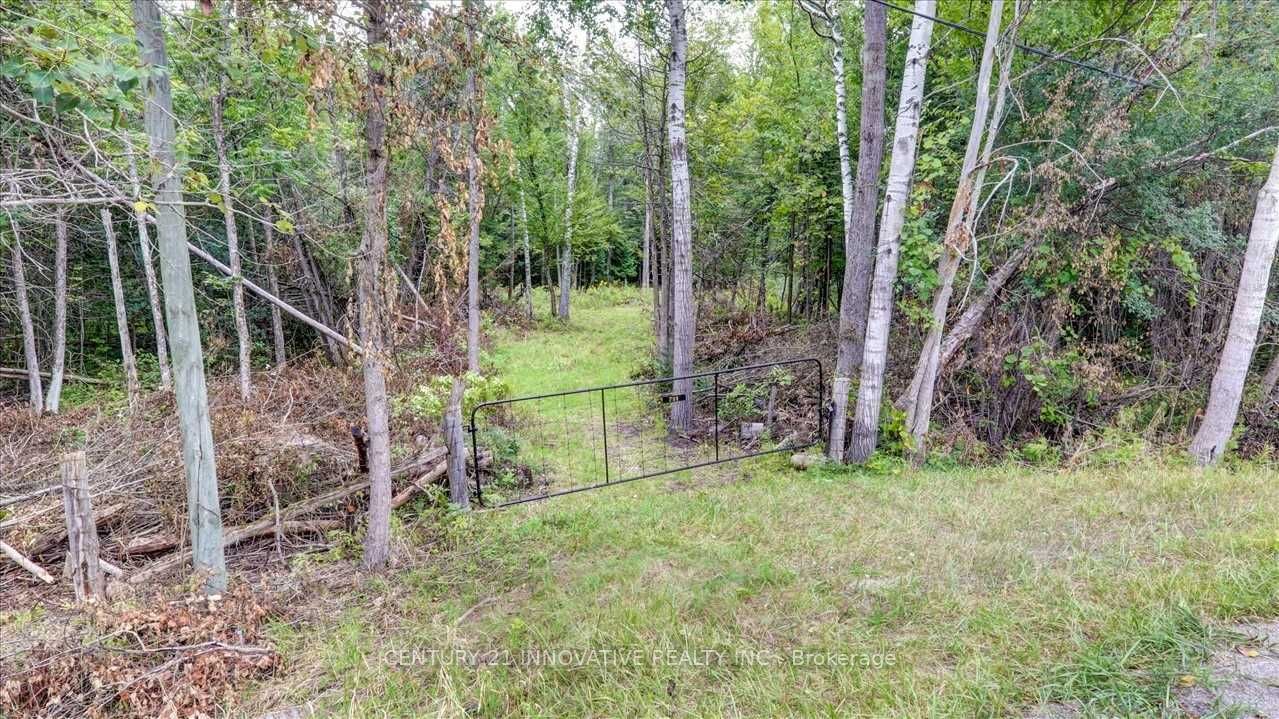 791 Mount Horeb Road, Kawartha Lakes, ON K0L 2W0 photo 3