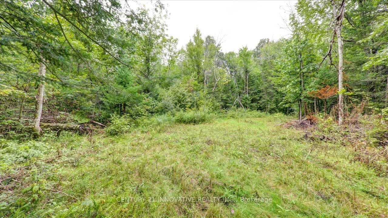 791 Mount Horeb Road, Kawartha Lakes, ON K0L 2W0 photo 5